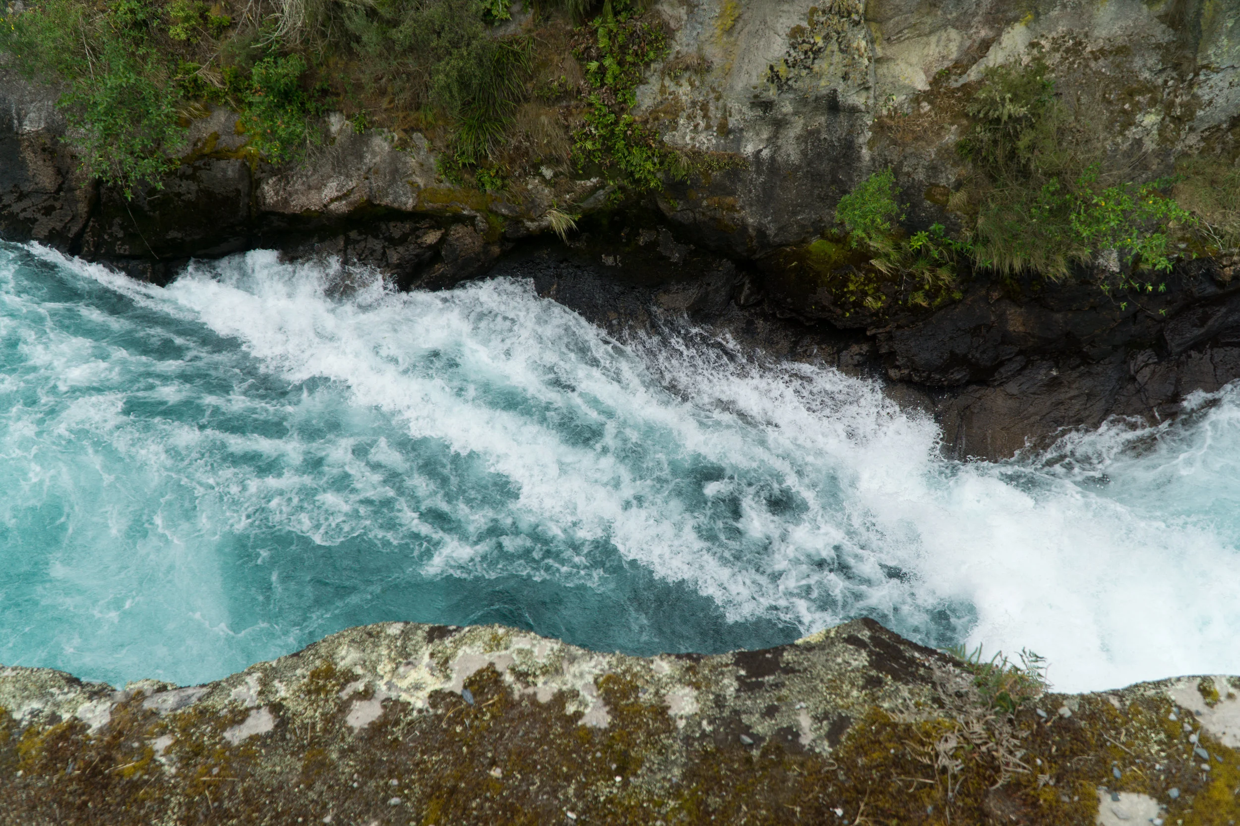 Taupo