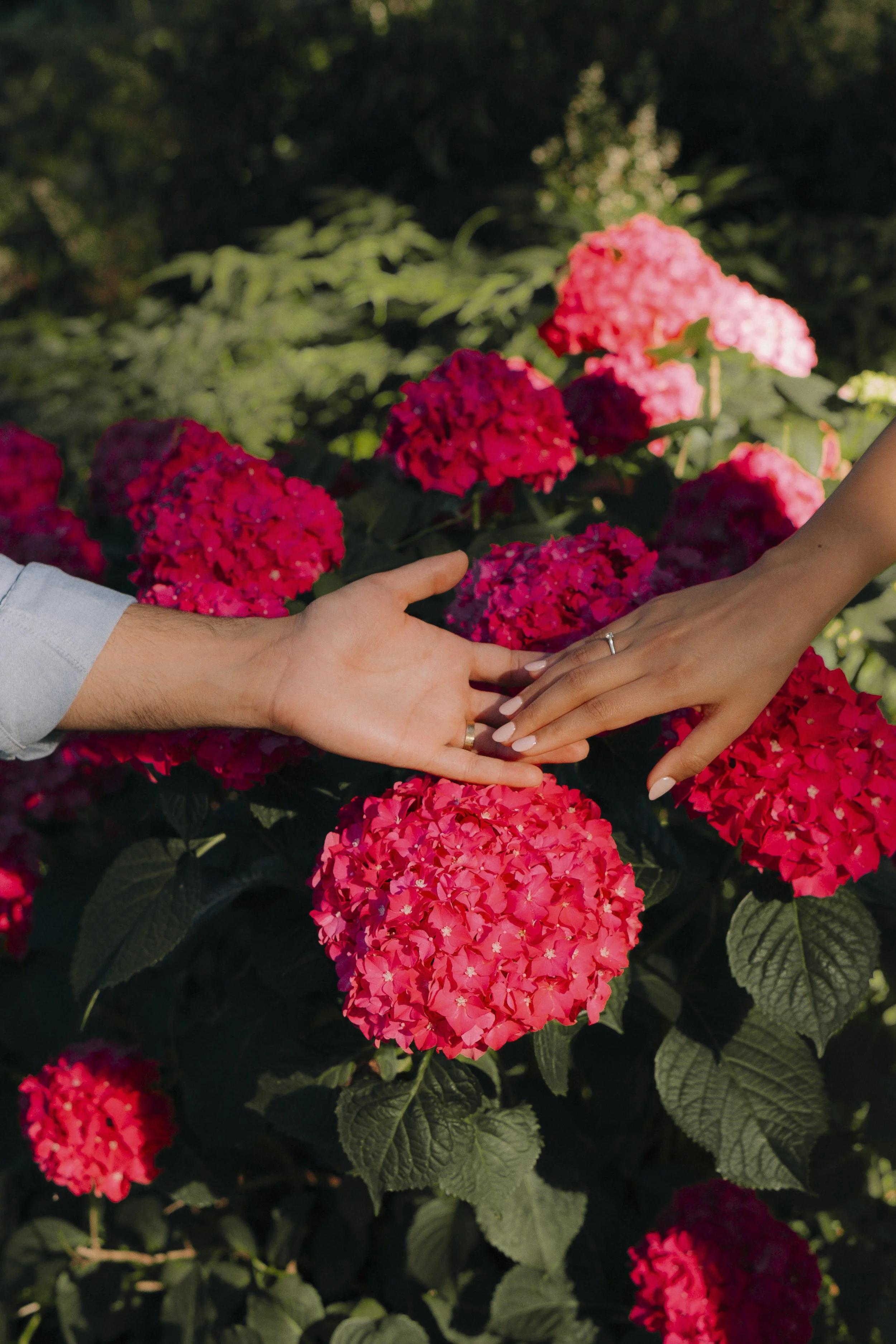 Sakshi & Sanjev website-07.jpg