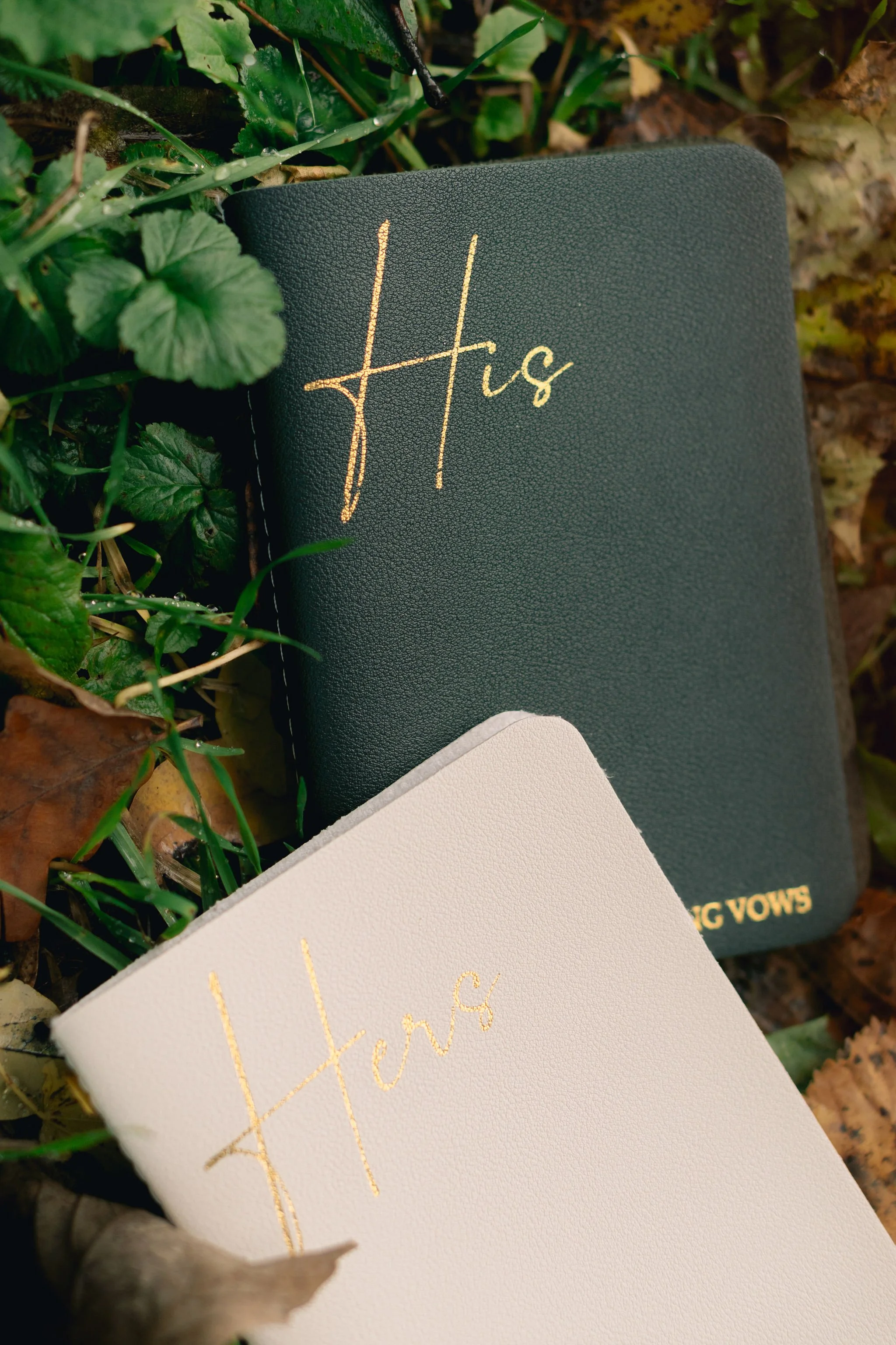 Standesamt Freiburg Hochzeitsfotograf-406.jpg