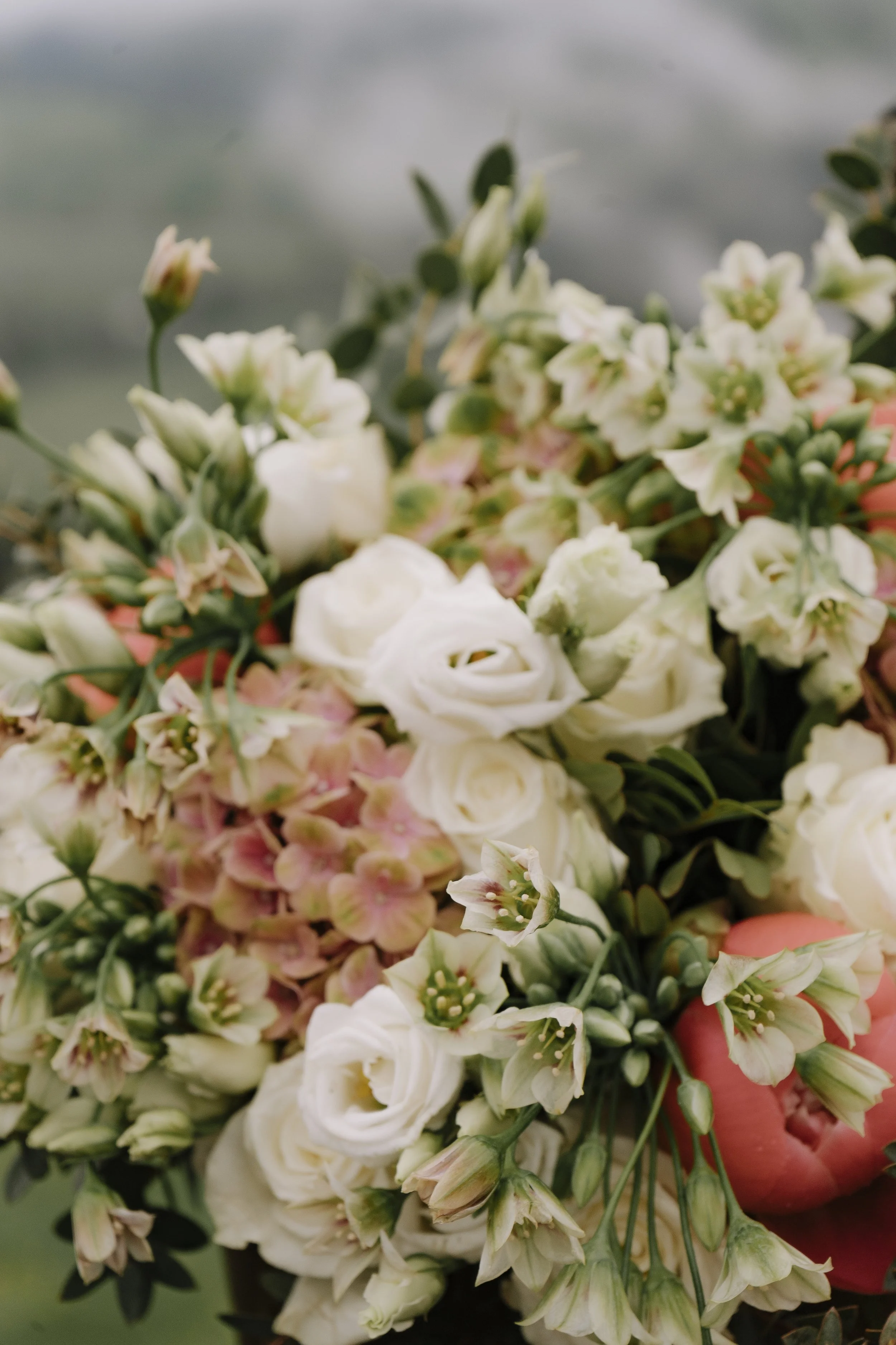 Margo & Igor regen website-05.jpg