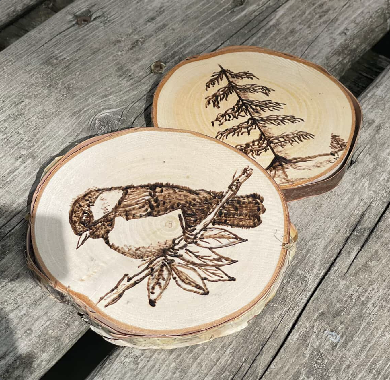 Screen Shot 2026-03-14 at 4.09.17 PM.png