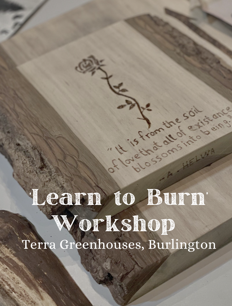 Screen Shot 2025-12-16 at 12.21.13 AM.png