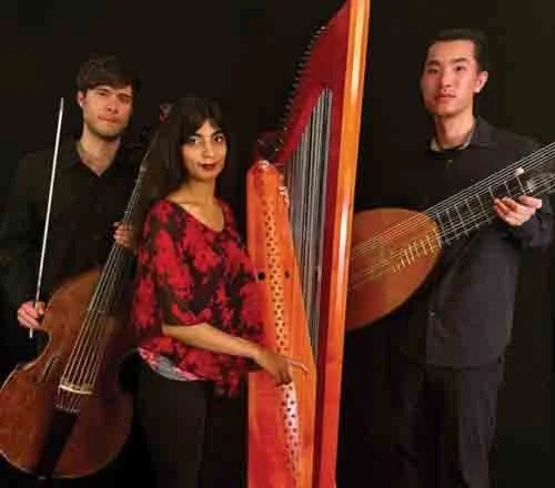 Ensemble Flame:A Timeless Tapestry of Strings and Song