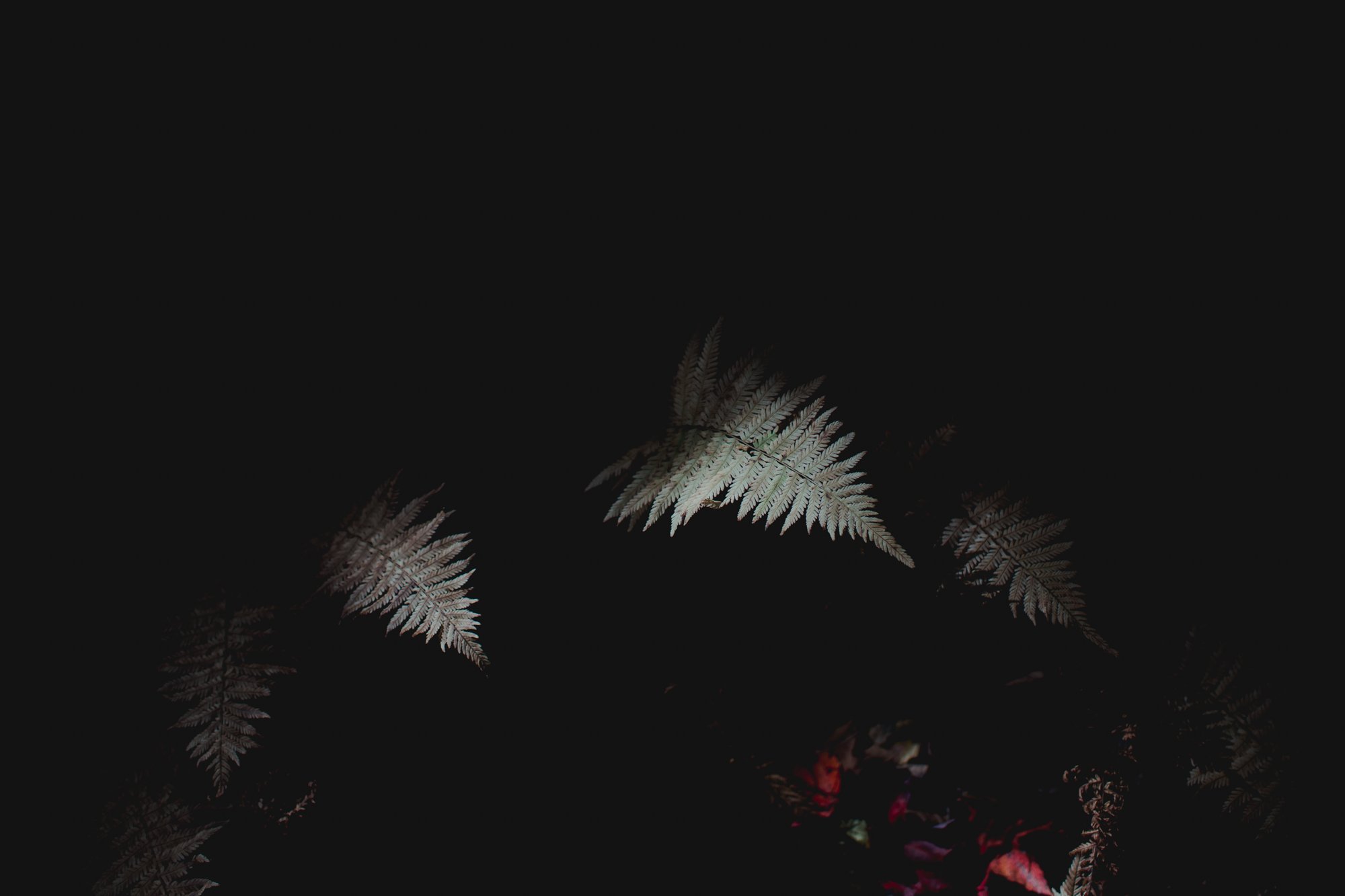 EmilyLishBlog-8.jpg