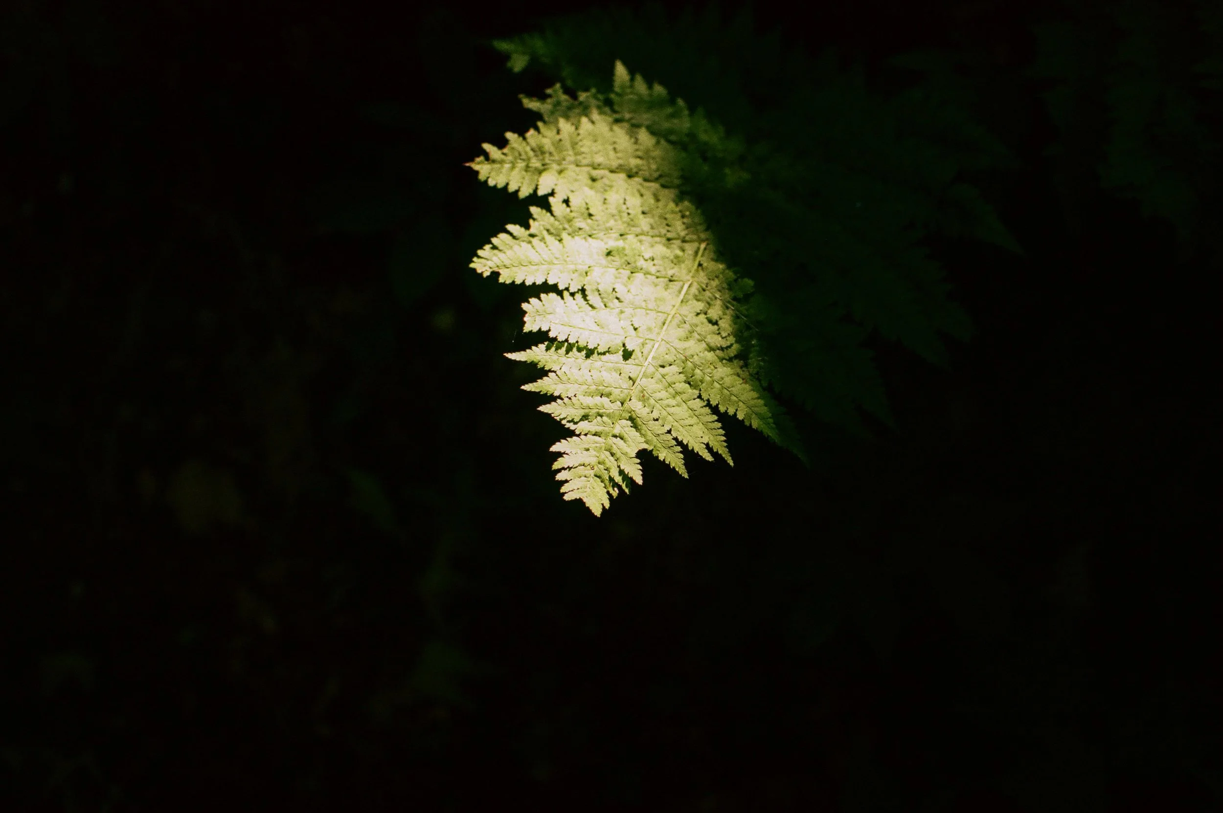 326590010029-2.jpg