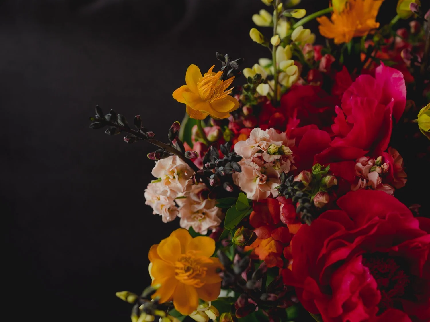 AllyTomElopement-6.jpg