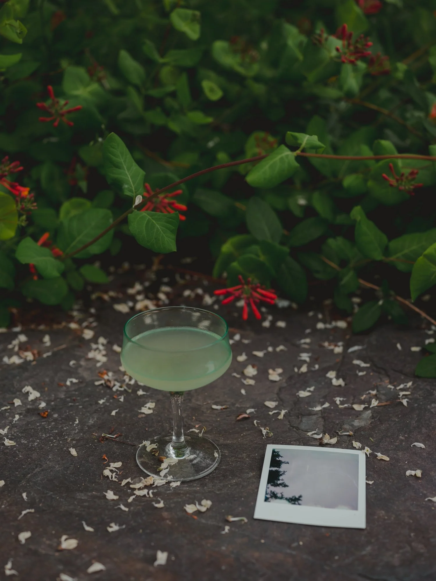 AllyTomElopement-4.jpg