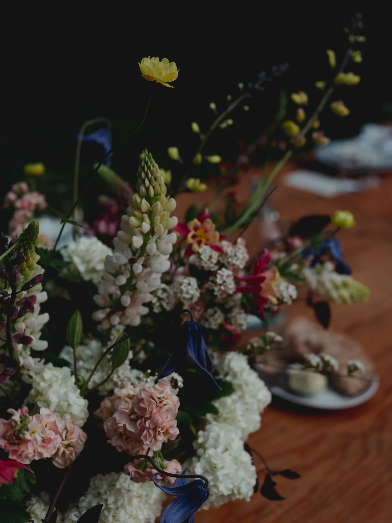AllyTomElopement-9.jpg