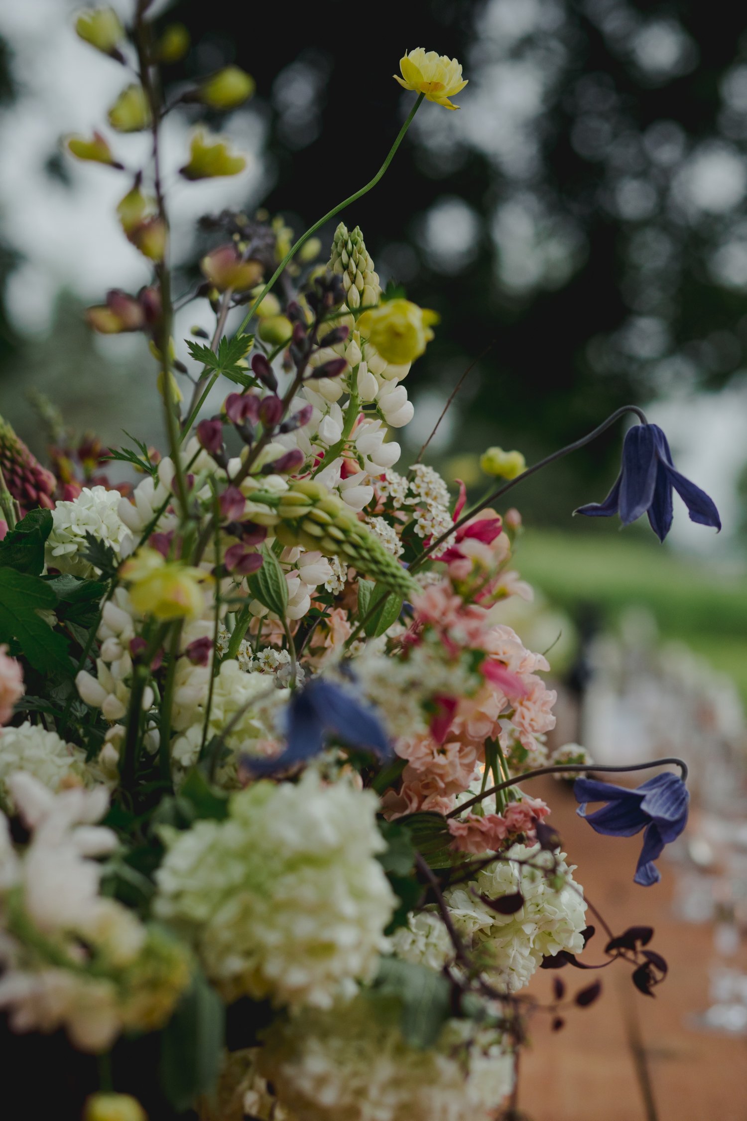 AllyTomElopement-24.jpg
