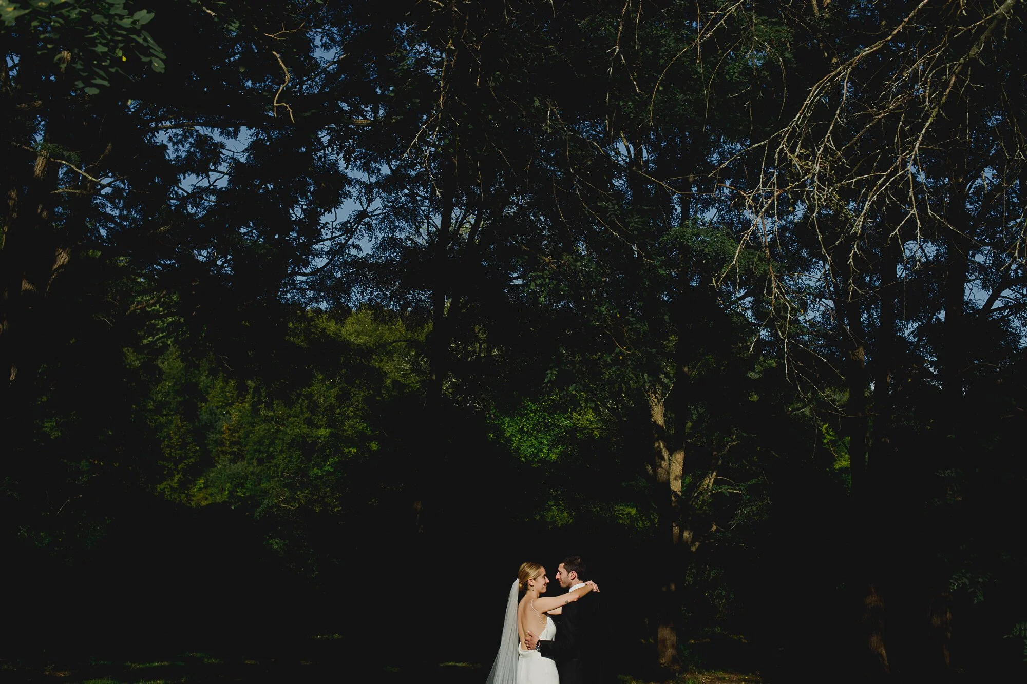 _62A6650-19.jpg