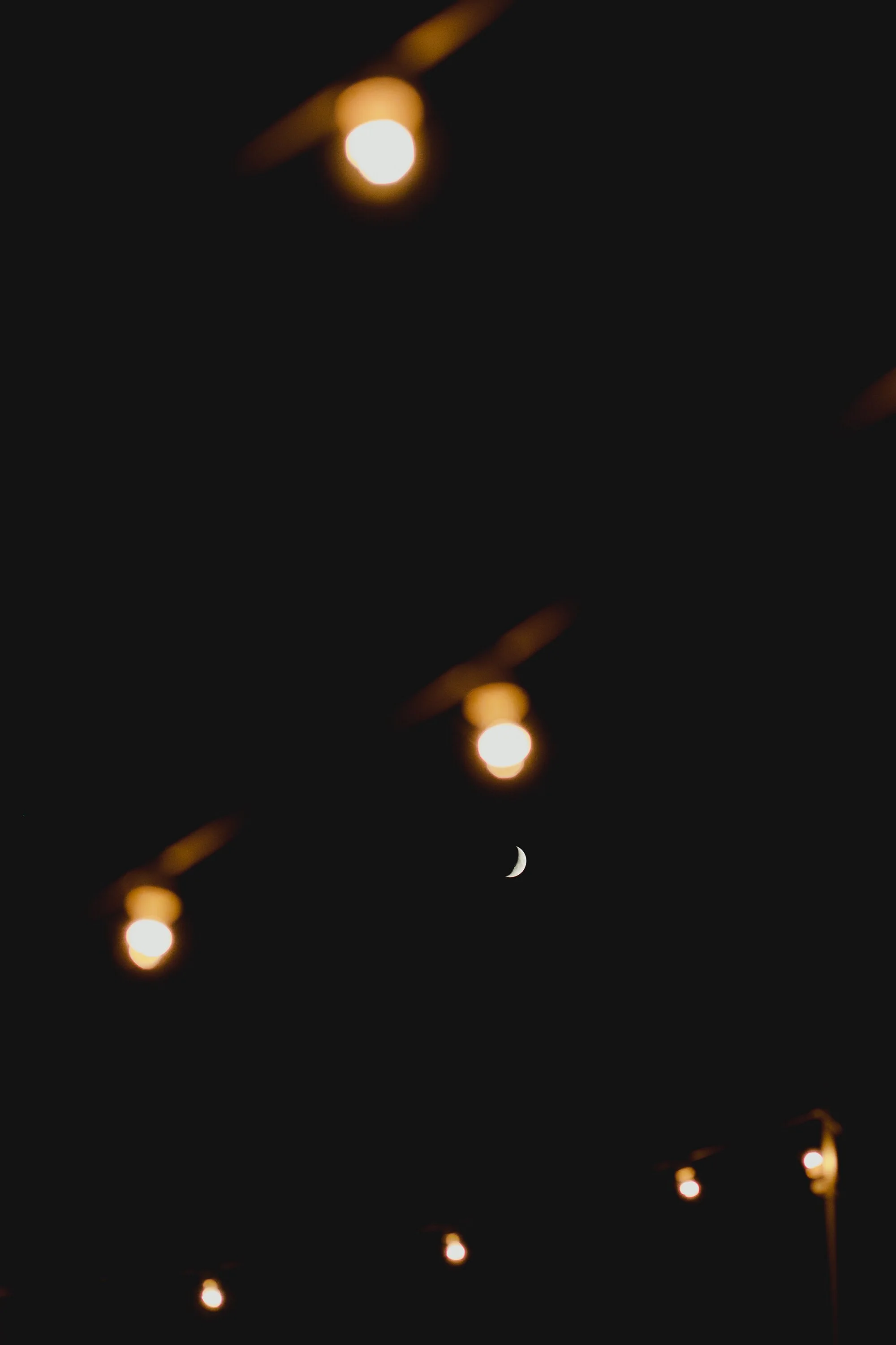 _62A8578-42.jpg