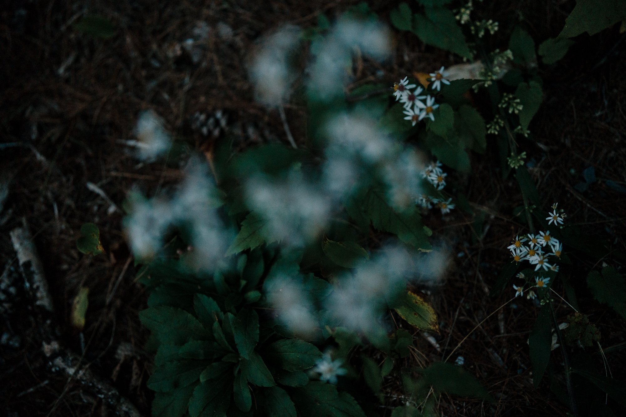 20230903AllieWillBlog-37.jpg