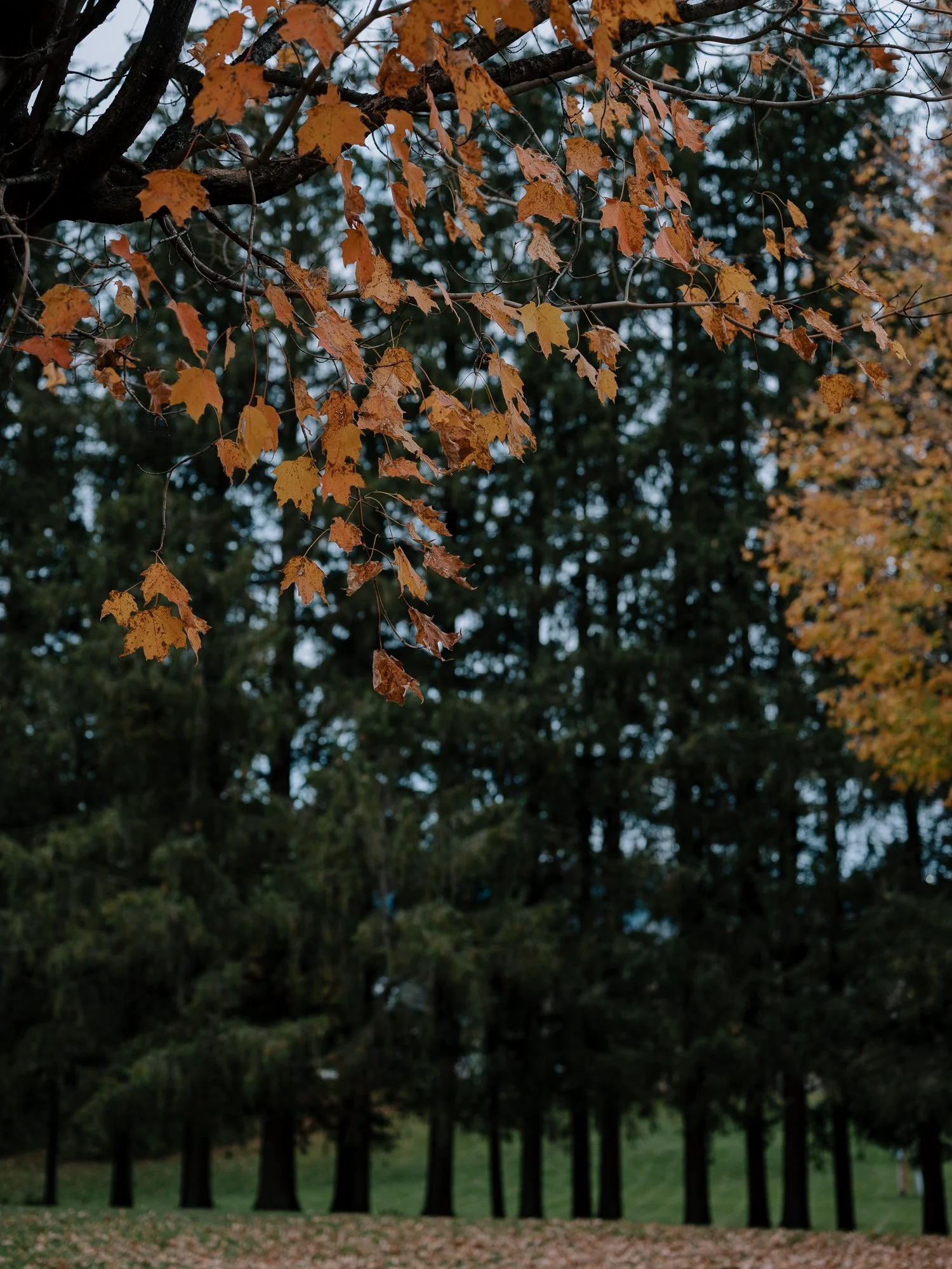 20231014KateJuanBlog-21.jpg