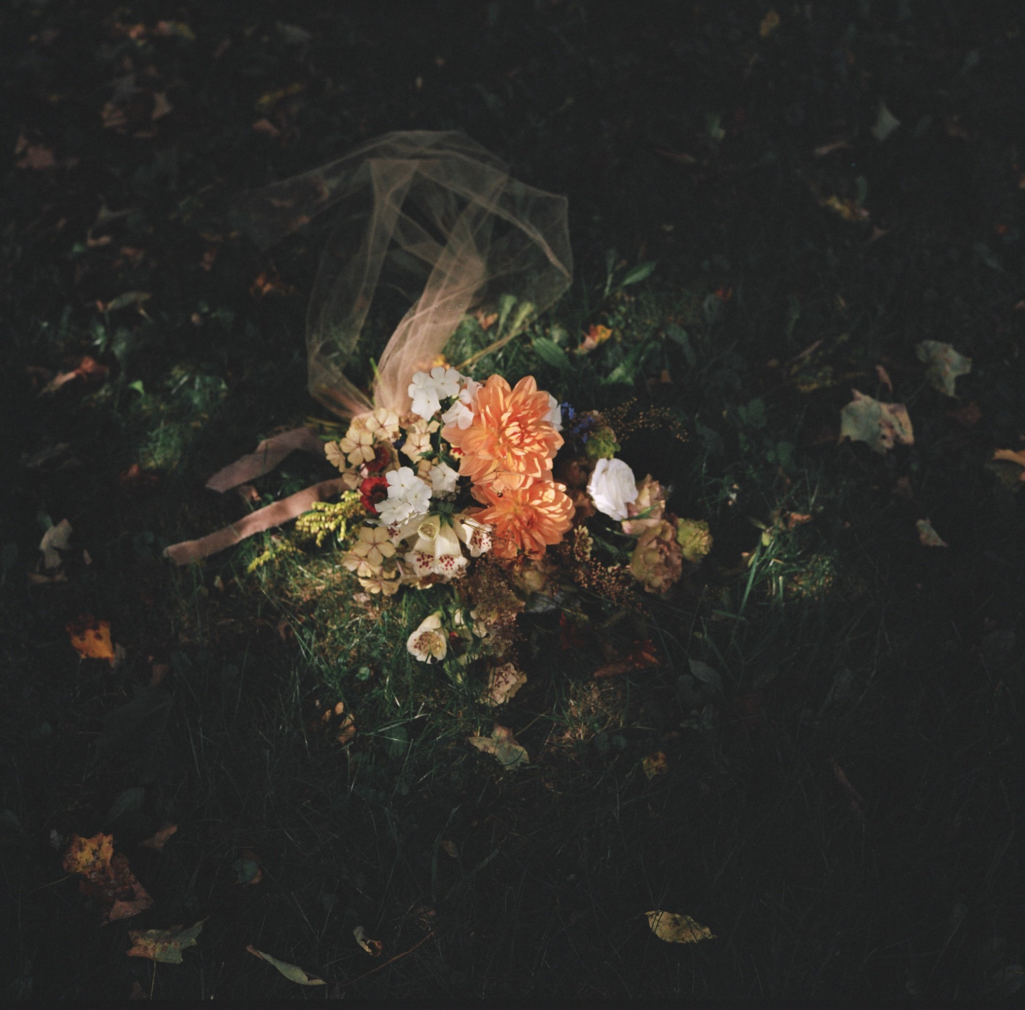 LastLightStudio-SarahPriestapPorter.jpg