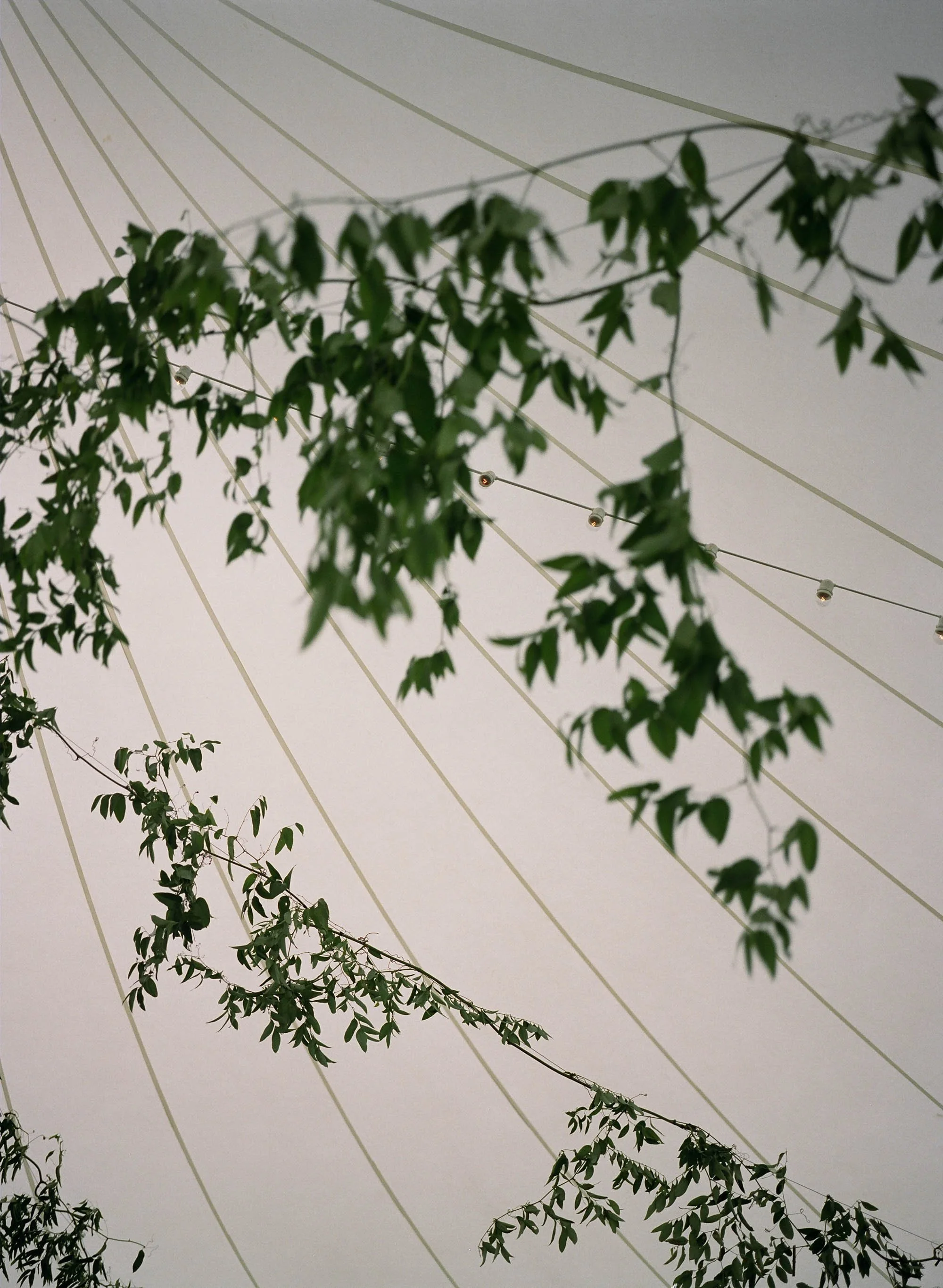 20240803AnnaBobbyFilm-37.JPG