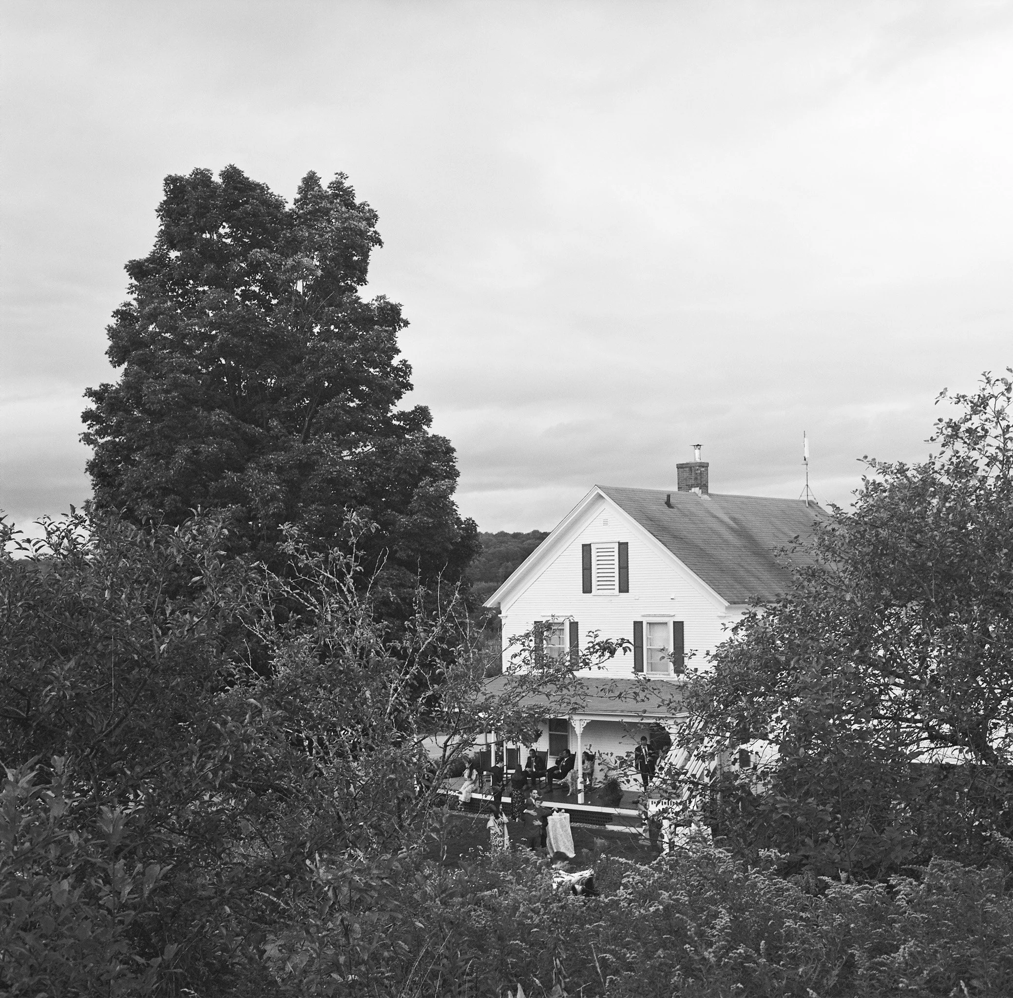 20240907-AliNatFilm-094.jpg