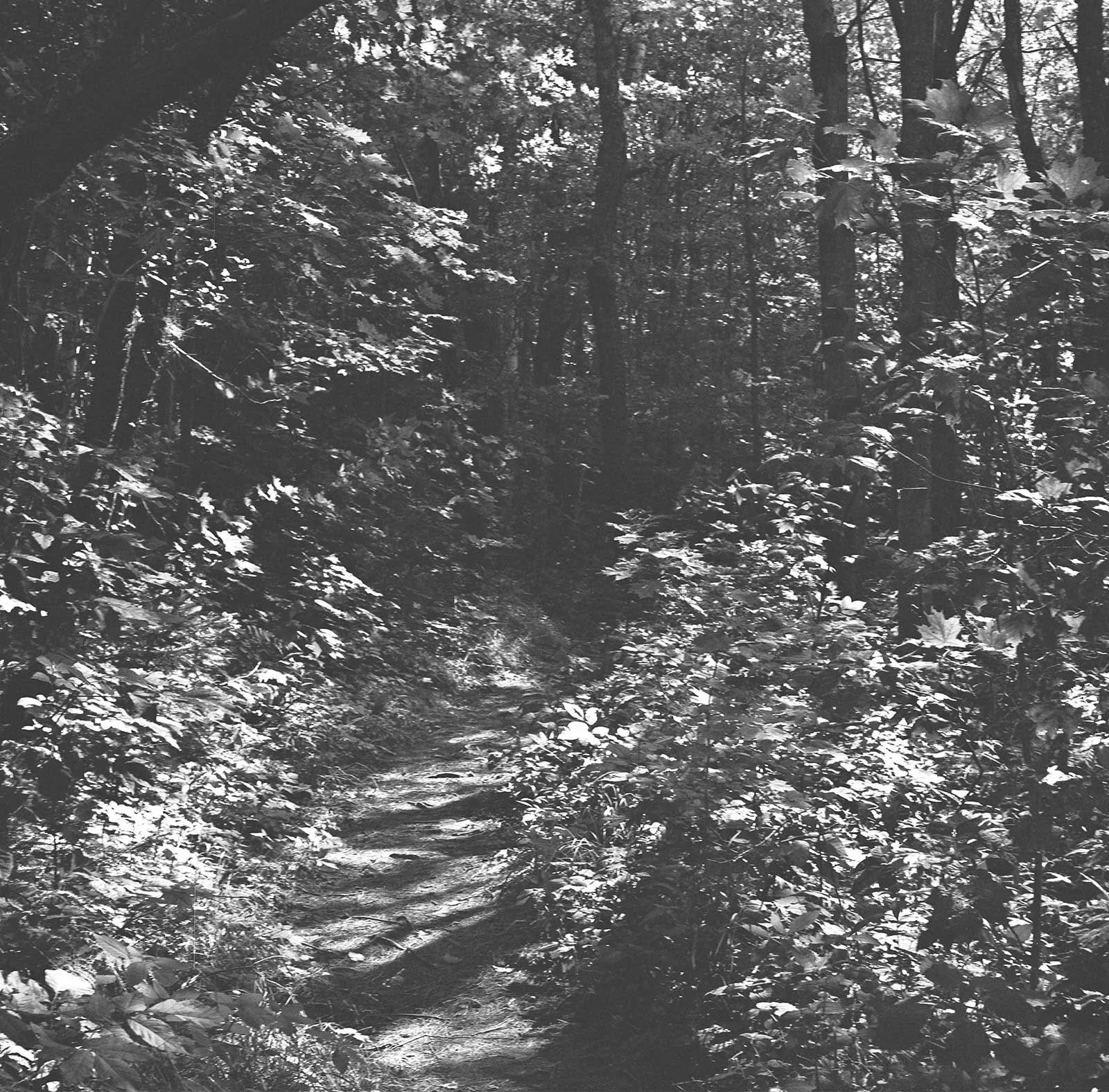 Vermont-Film-Wedding.jpg