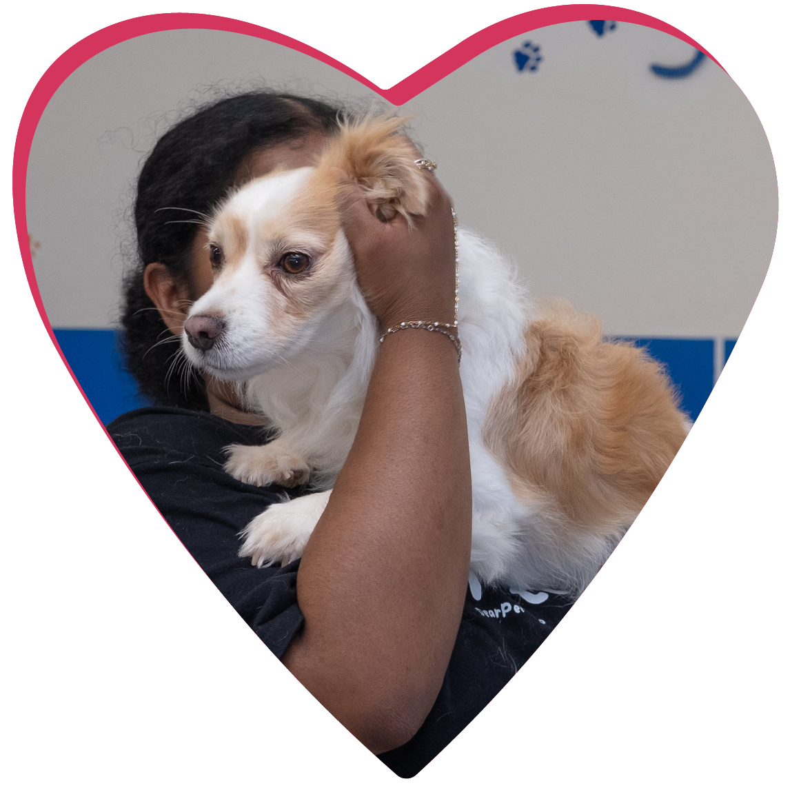 Heart shaped image frame featuring Doggittude's indoor doggie daycare space