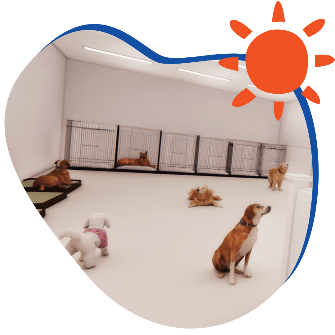 Dog Care The Doggittude Way! Brooklyn, NYC — Doggittude