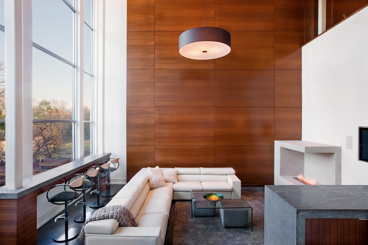 Modern Wood Panel Ideas