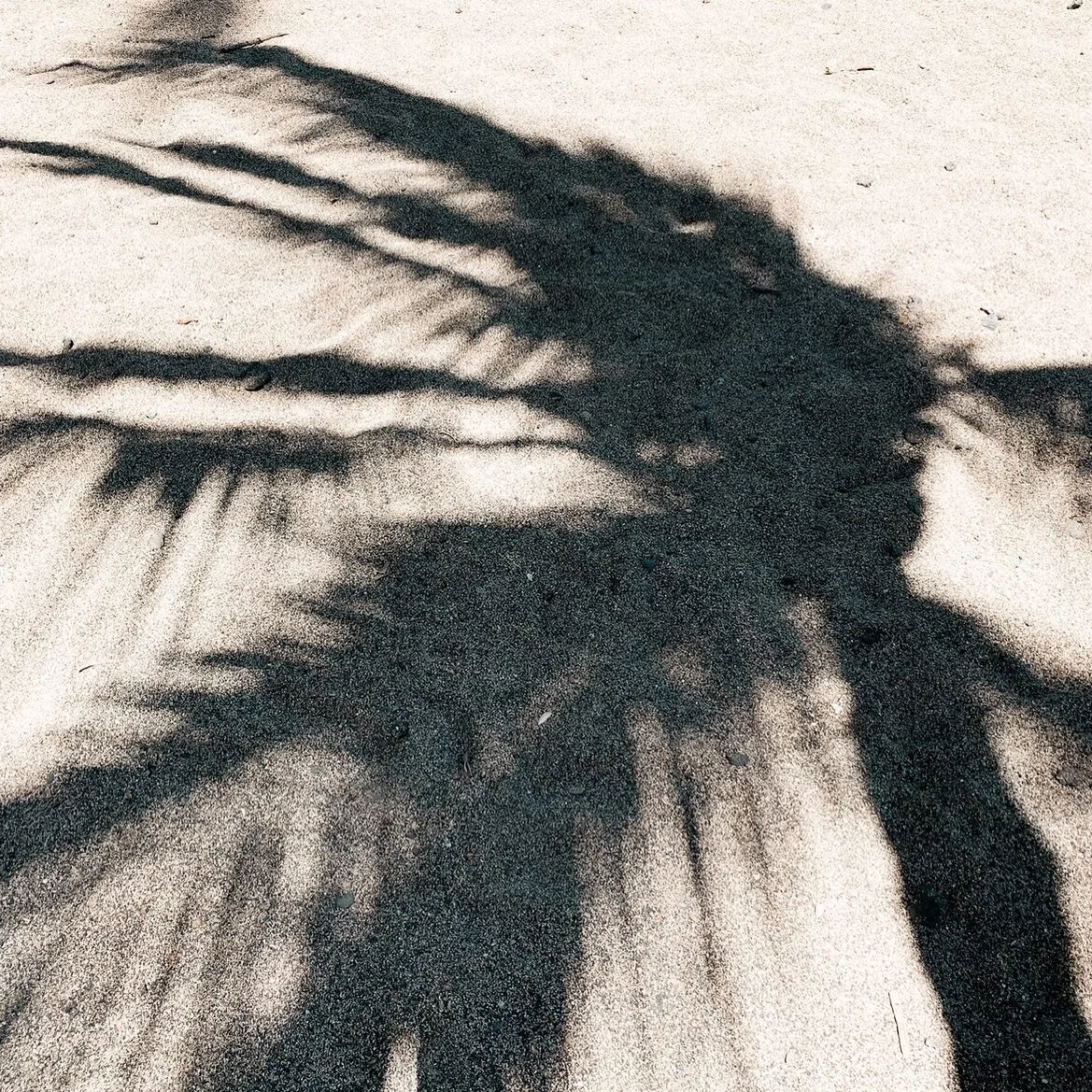 Channeling vaca vibes for our newest project. We&rsquo;re thinking texture, warm lighting, and tons of natural elements to create the sweetest family escape. Tough enough to withstand the elements, and your kids, but with the luxe amenities you won&r