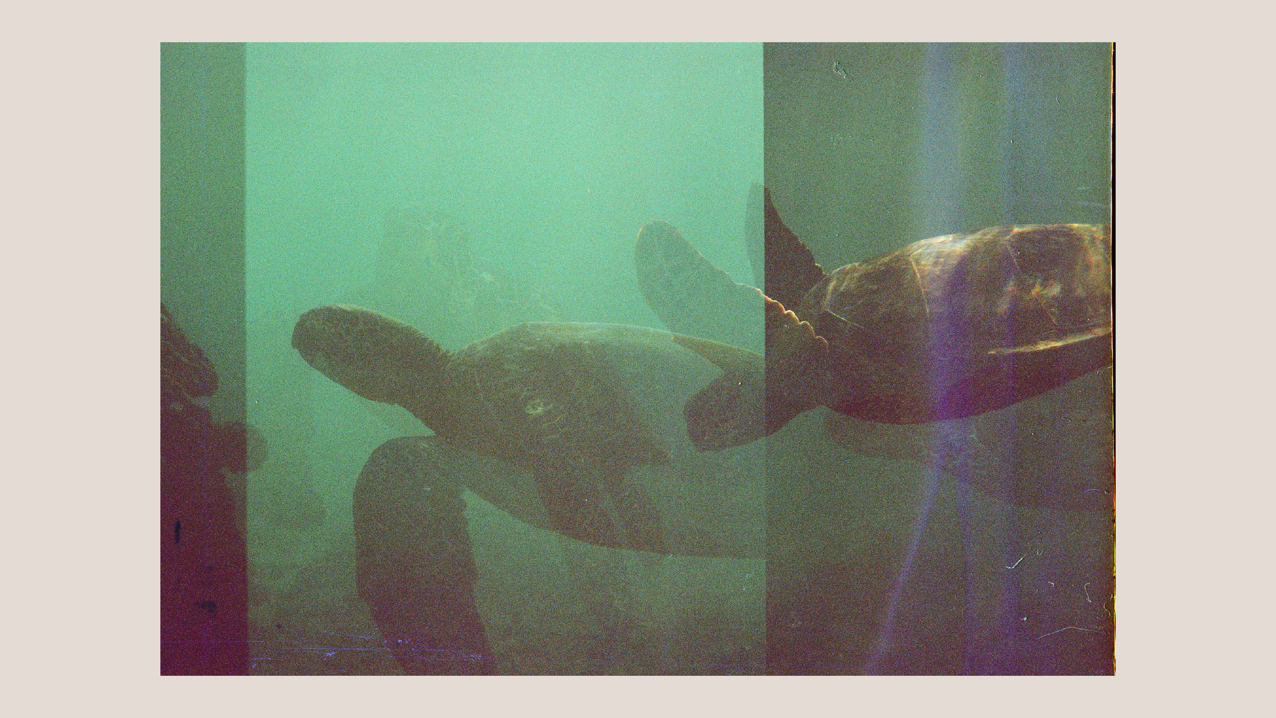 Film photography-02.png