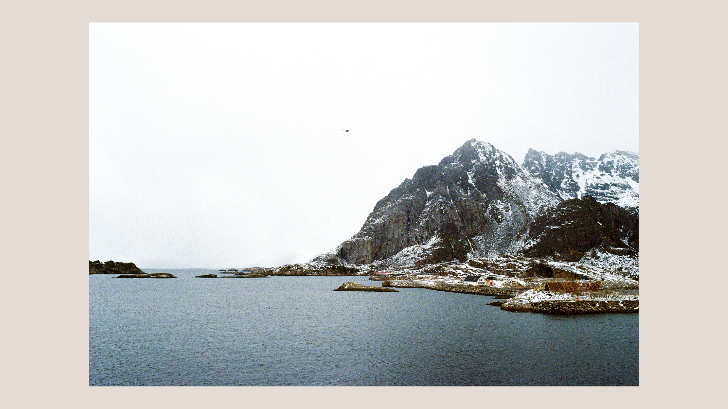 Film photography-07.png