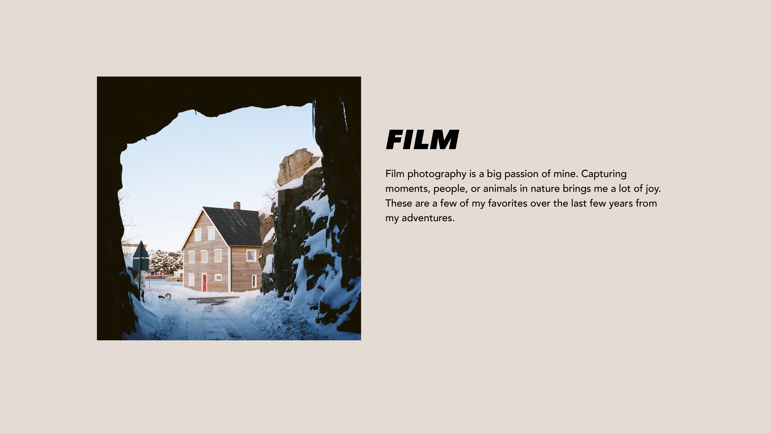 Film photography-05.png