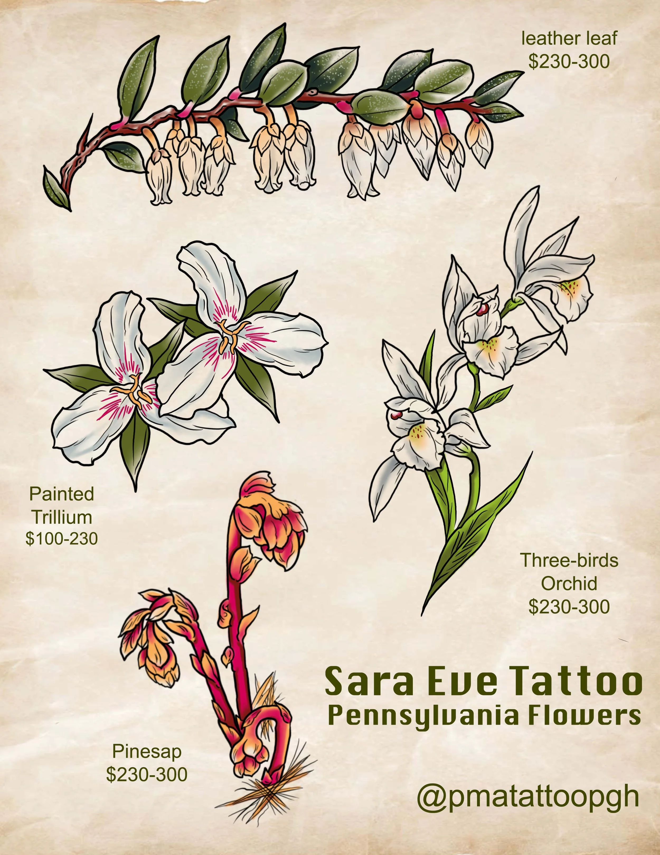 Native Plant Flash .JPG