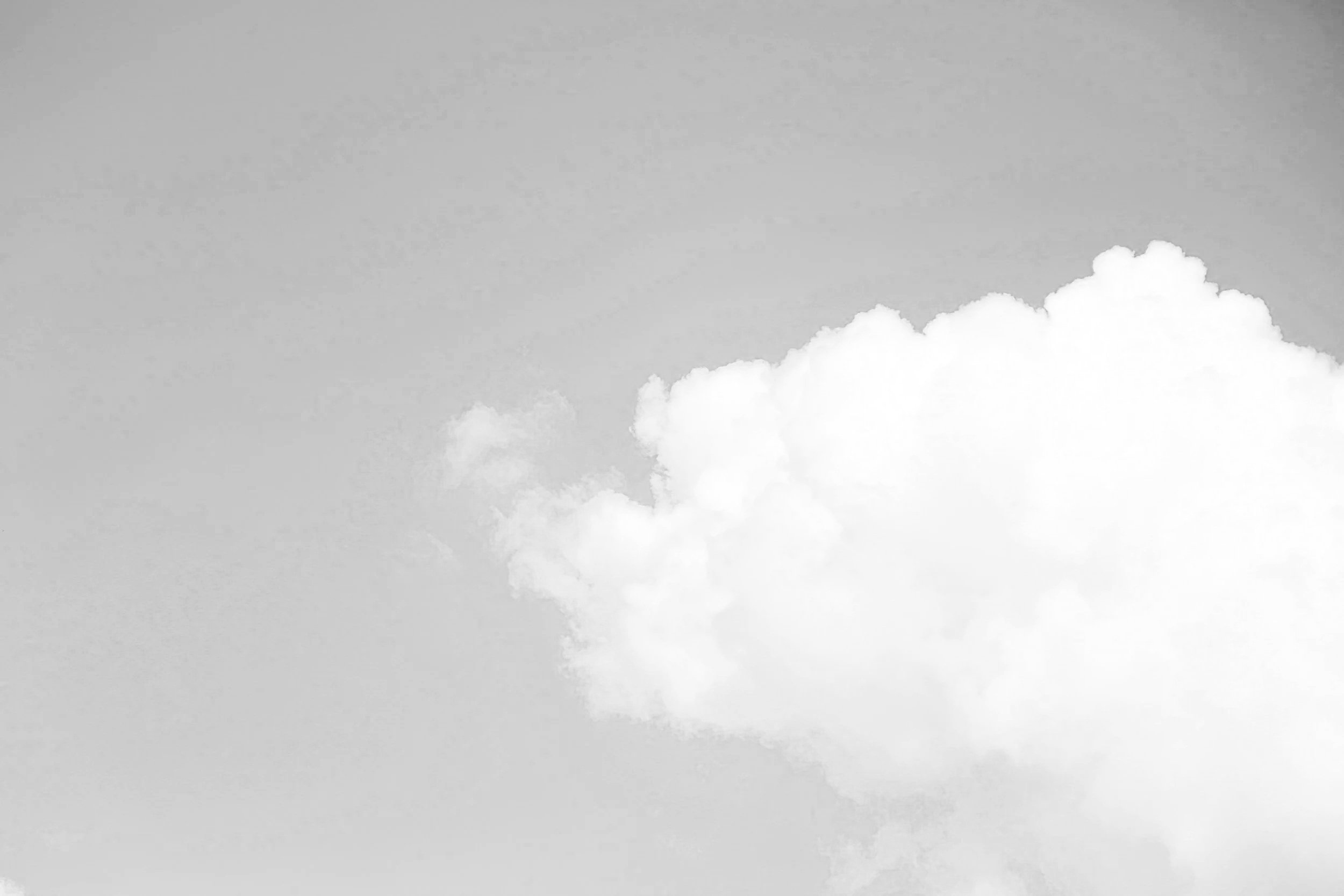 SML #203 - wish I woulda