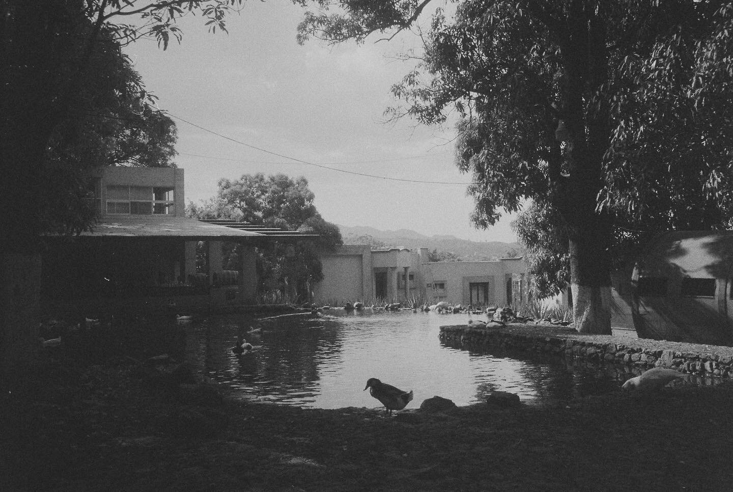 Fotos que tom&eacute; a lo largo de este a&ntilde;o en Jalisco, Nuevo Le&oacute;n y Nueva York.

#trix400