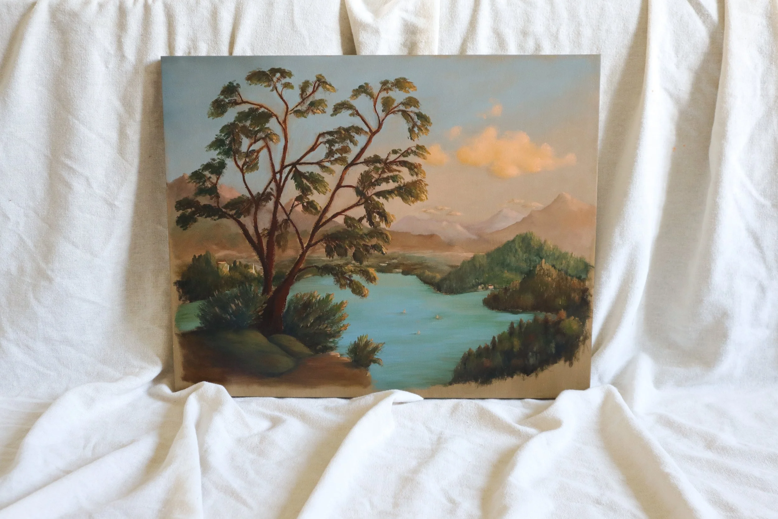 lake landscape-5.jpg
