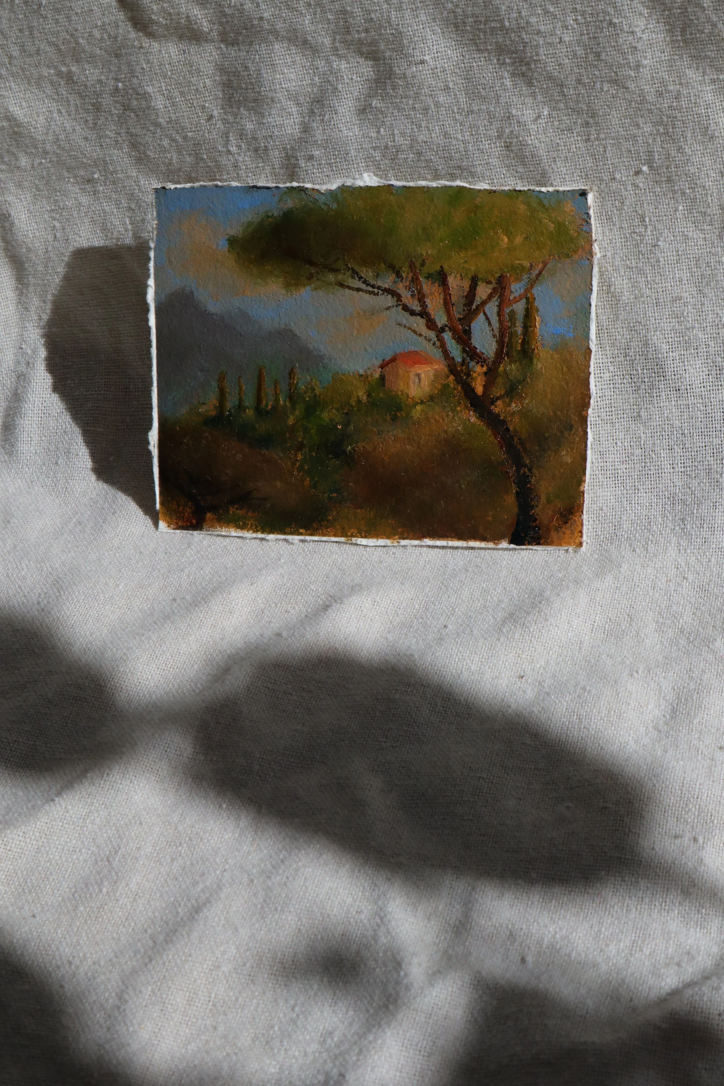 provence-no2-4.jpg