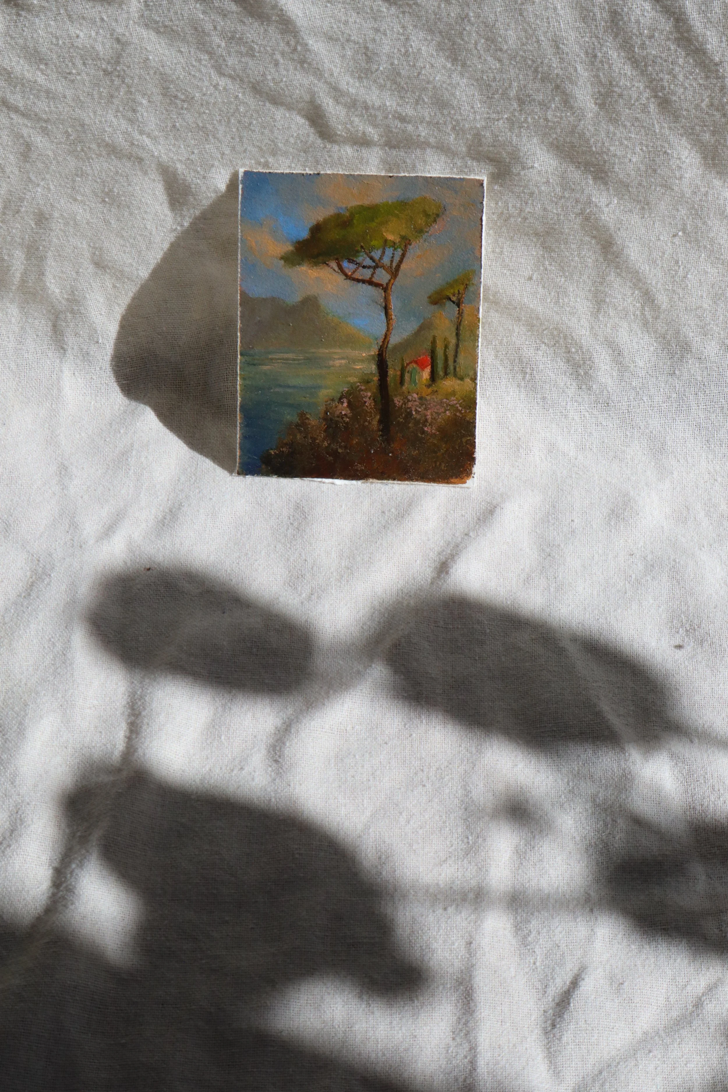 provence-no1--5.jpg