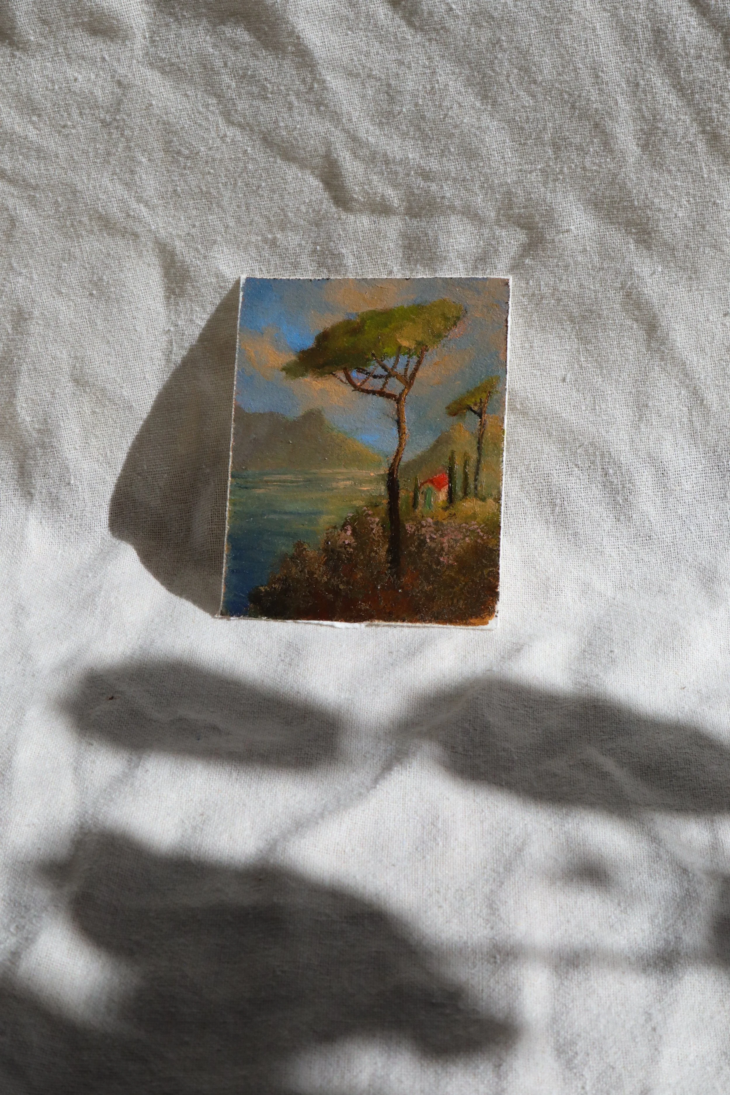 Provence No. 1