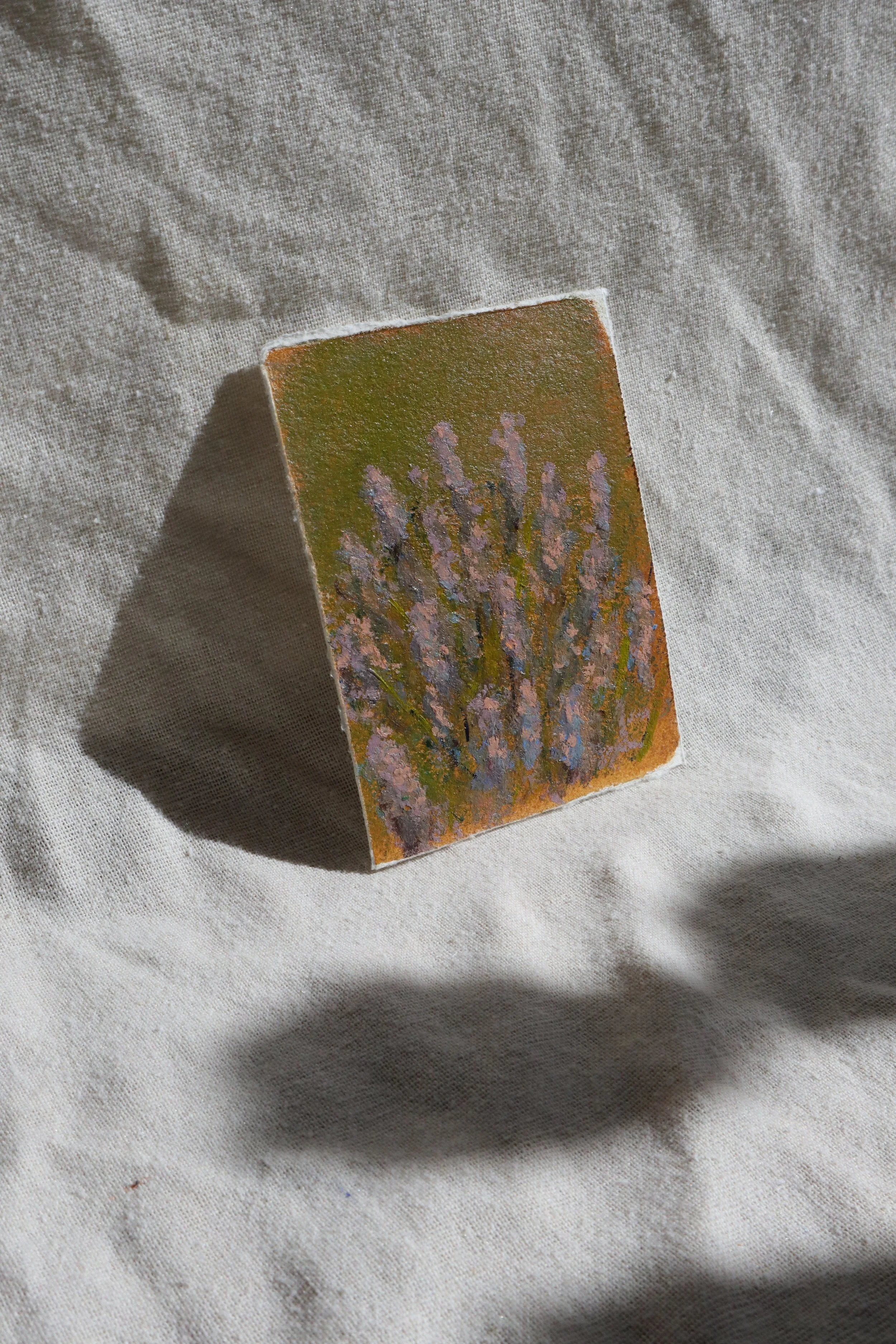 provence-lavender-3.jpg