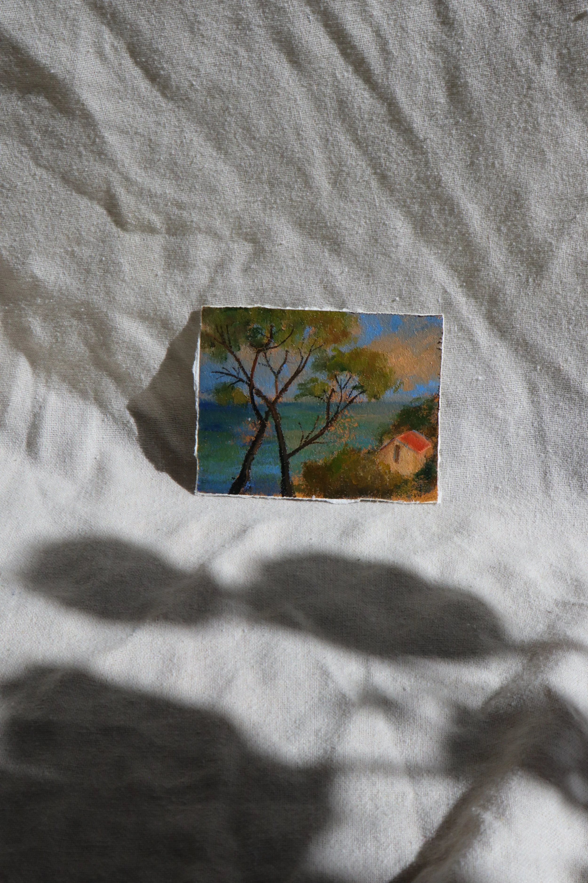 provence-no3-6.jpg