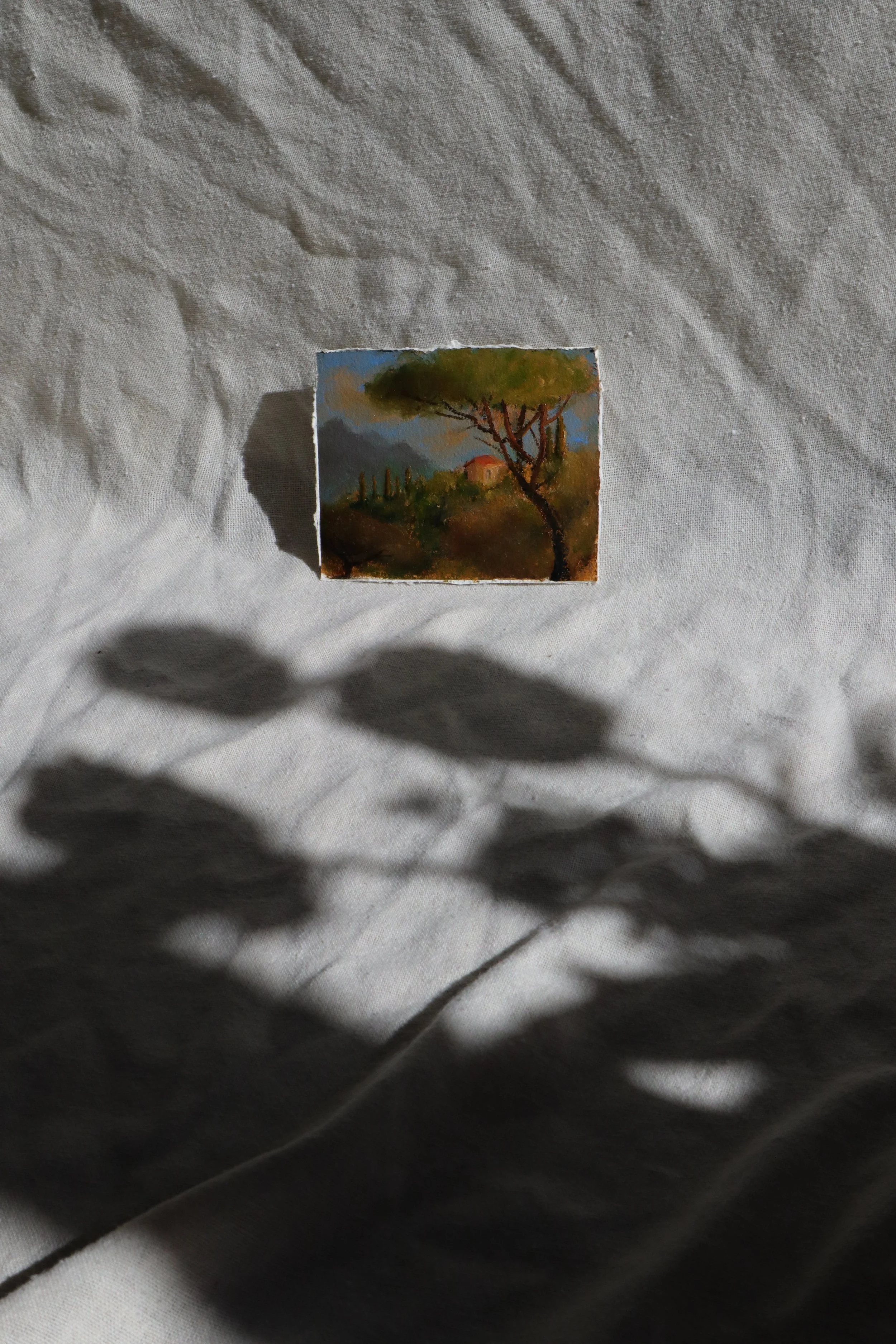 provence-no2-7.jpg