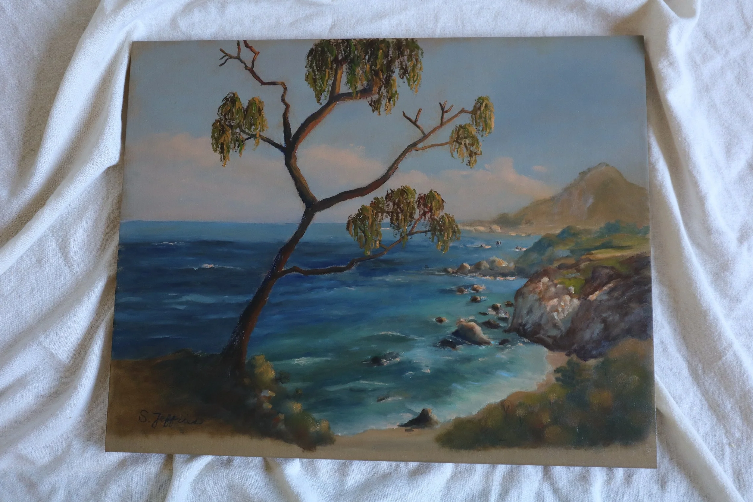 west coast seascape.jpg