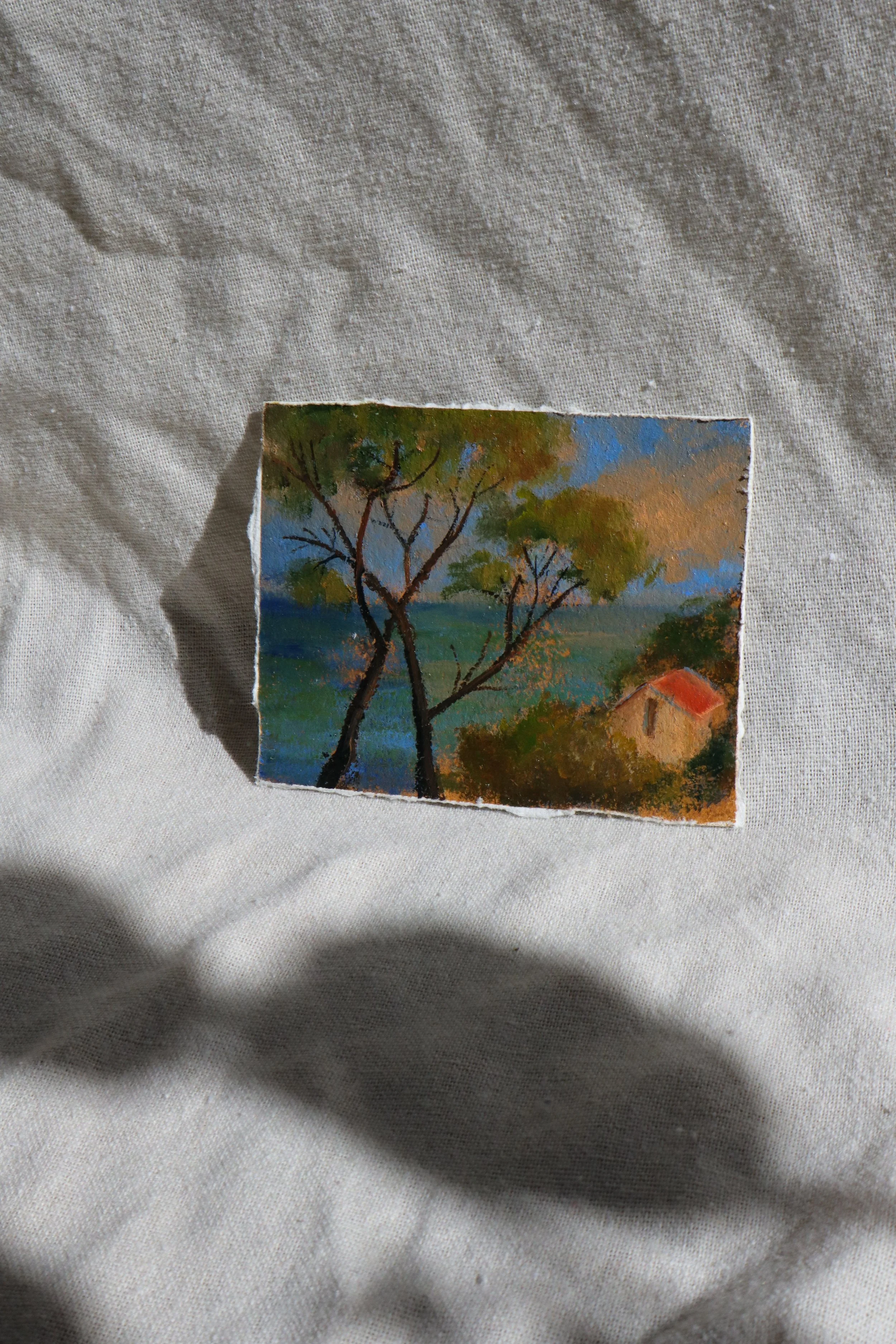 provence-no3-5.jpg