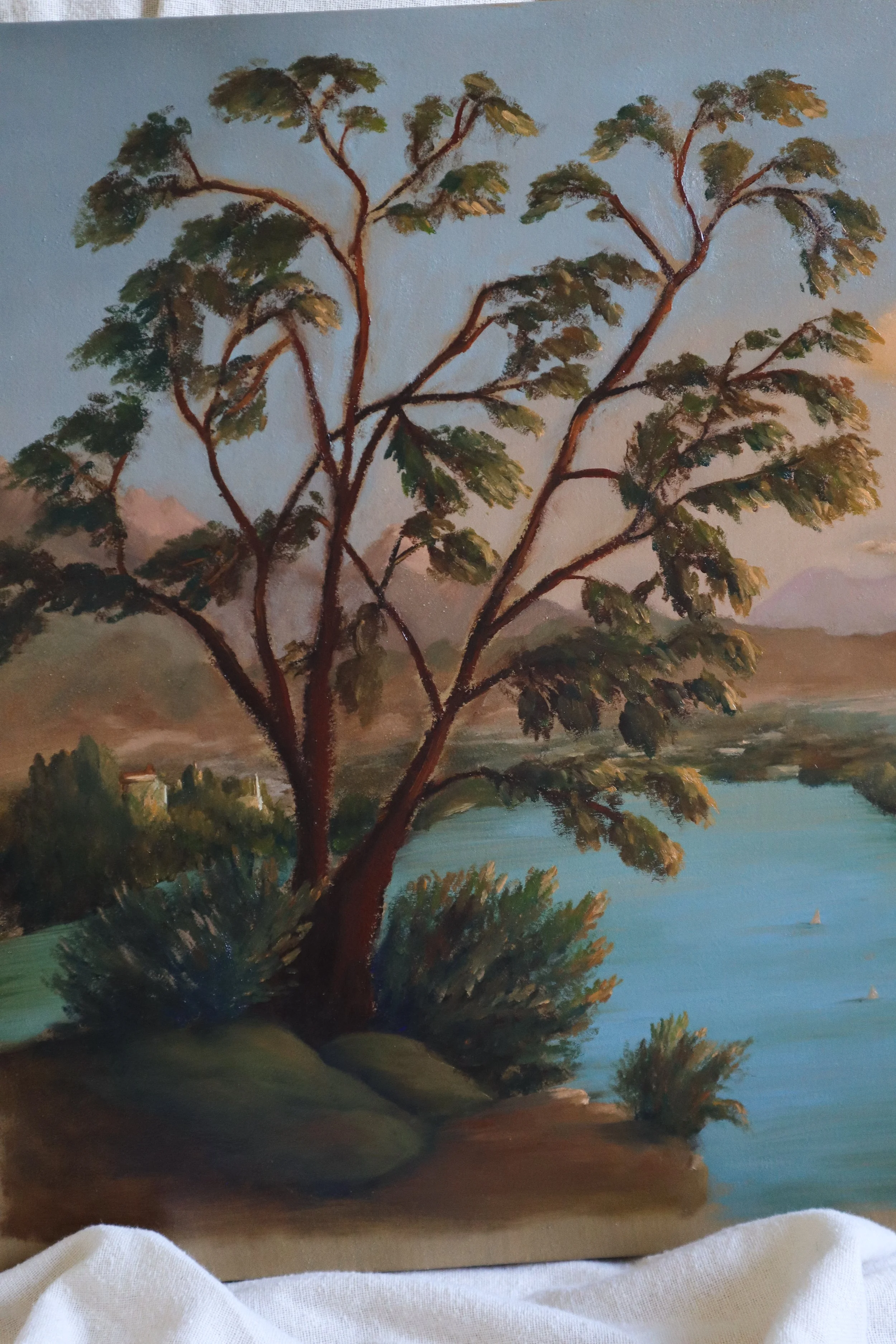 lake landscape-12.jpg