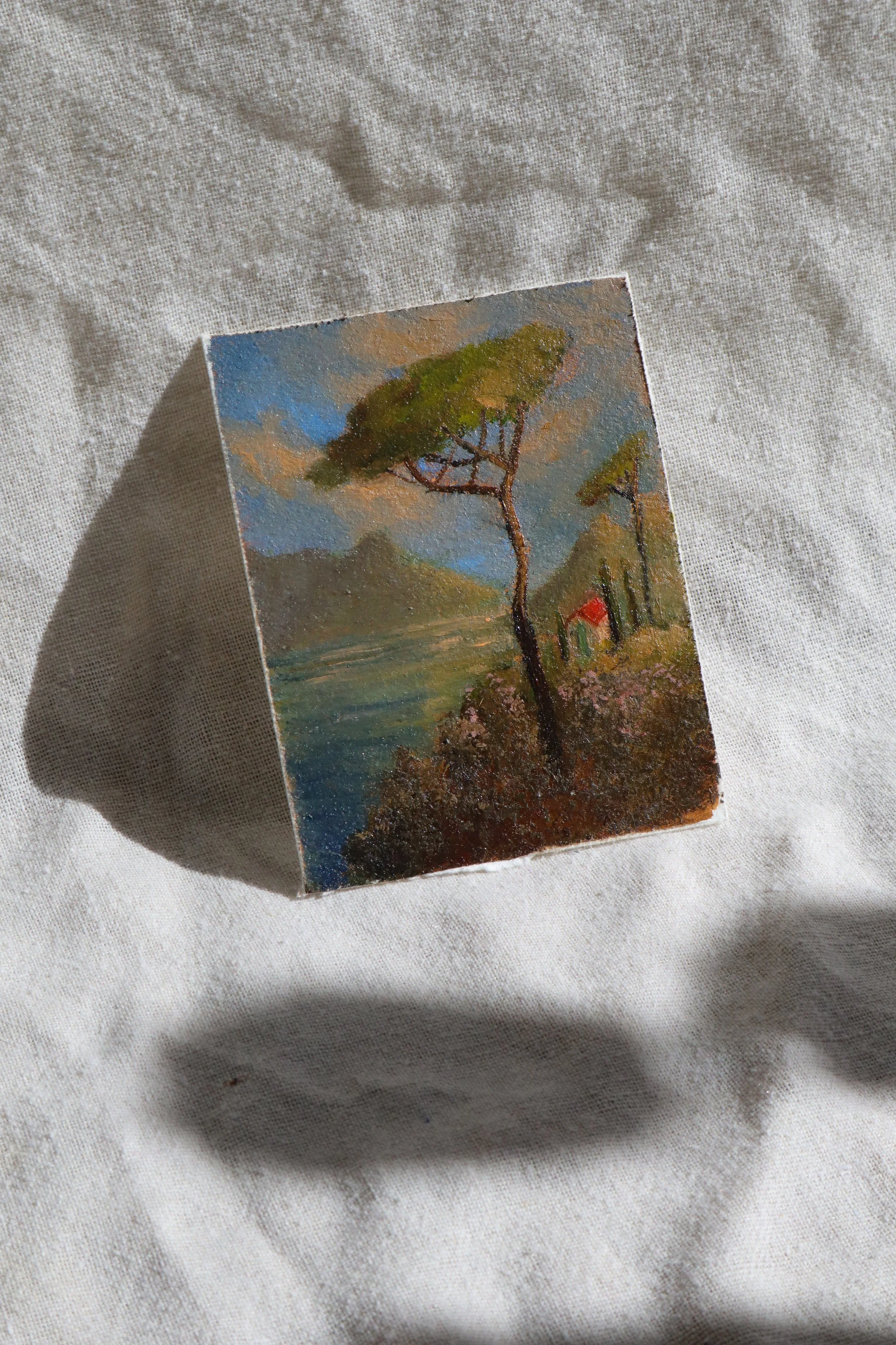 provence-no1--3.jpg