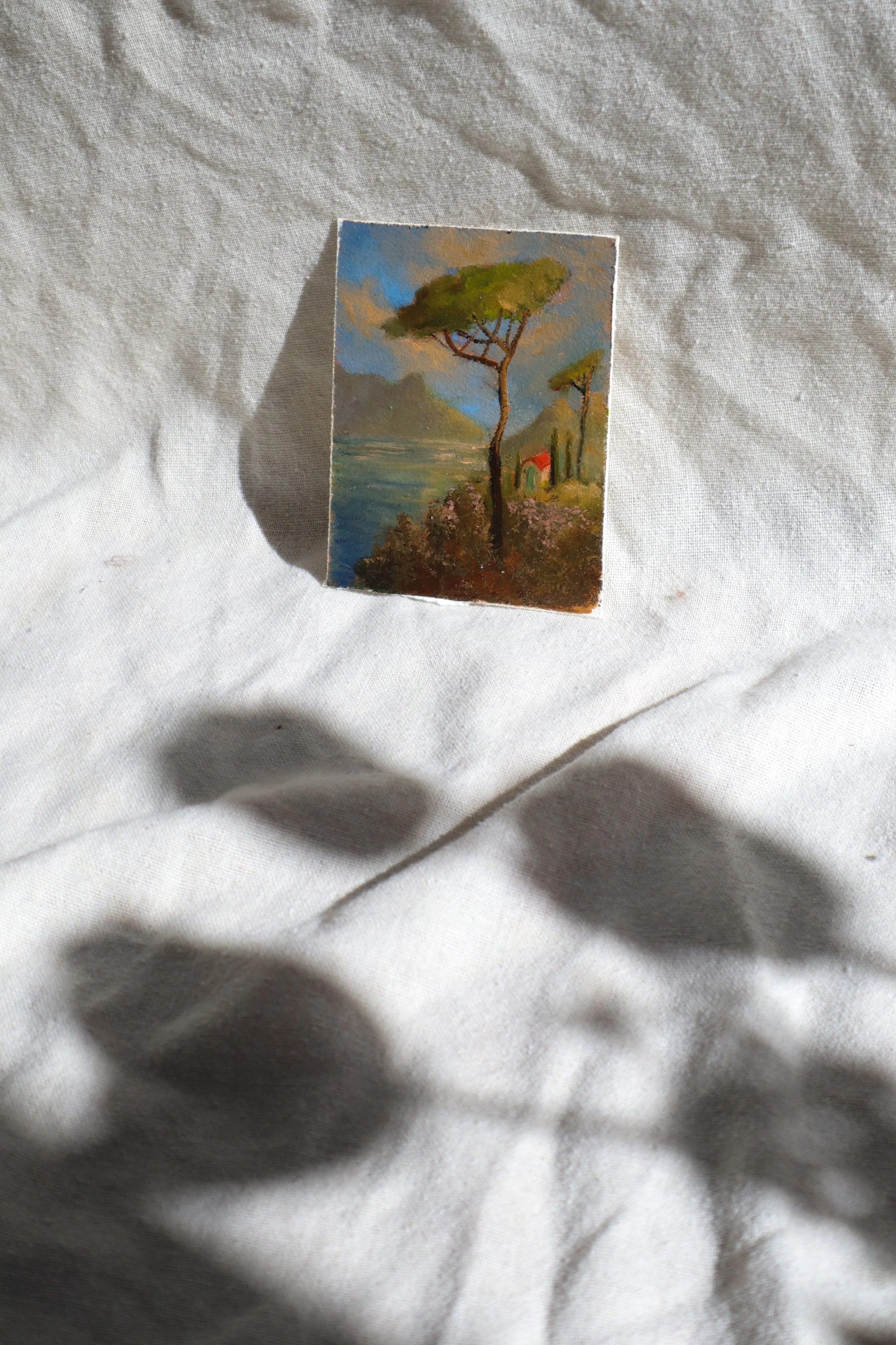 provence-no1--6.jpg