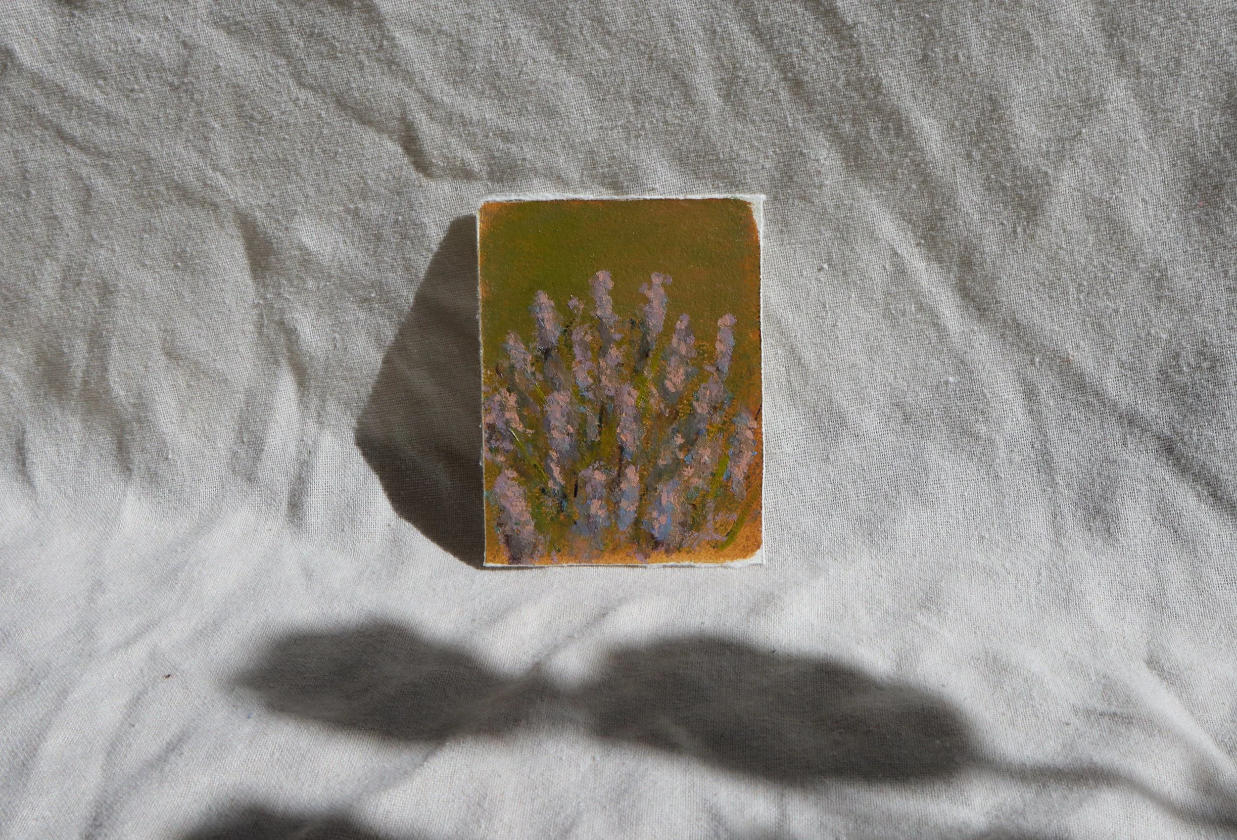 provence-lavender-6.jpg