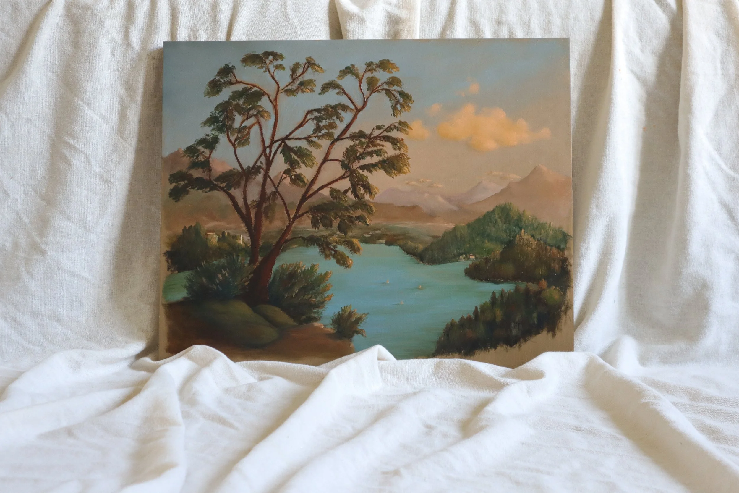 lake landscape-14.jpg