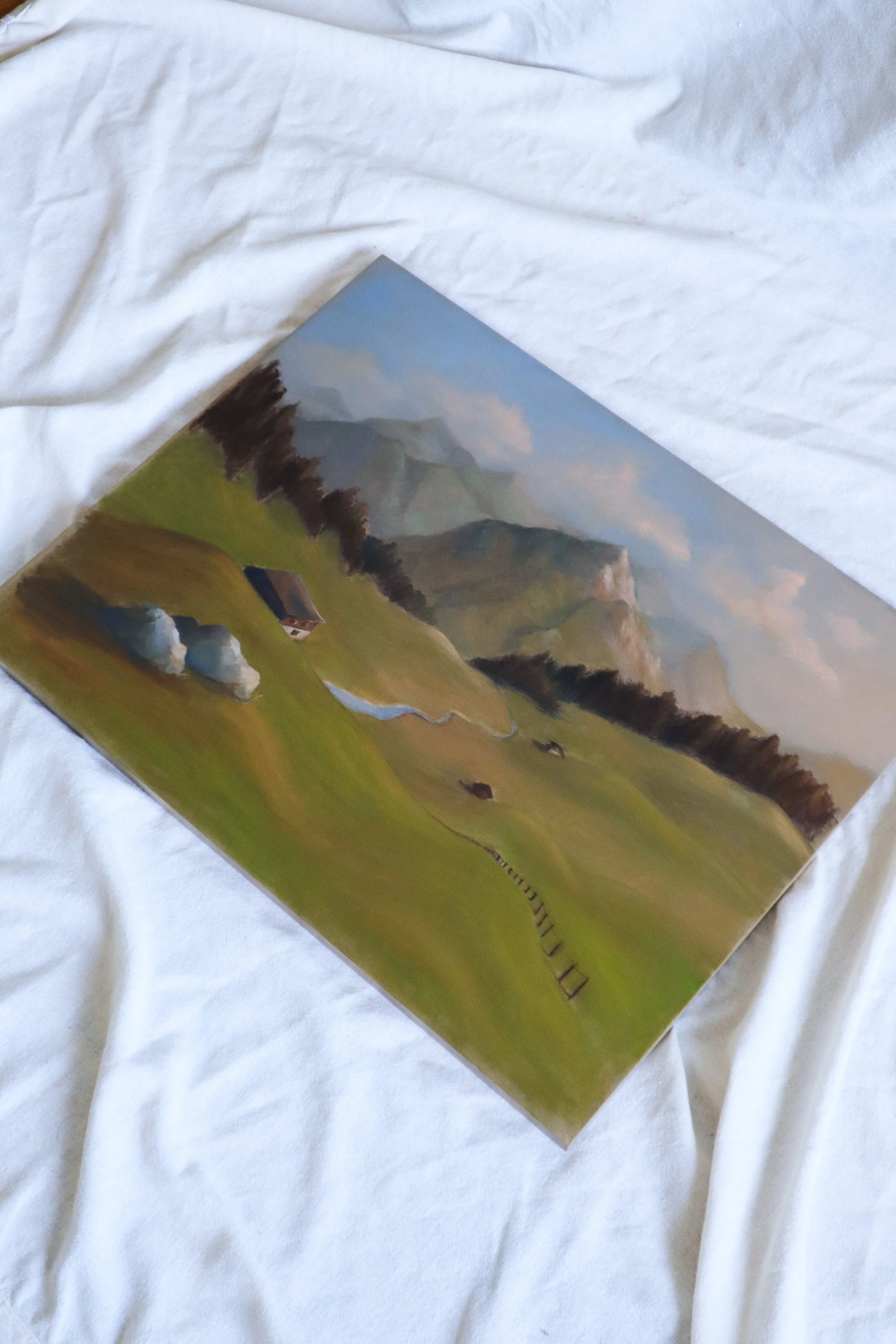 alpine landscape.jpg