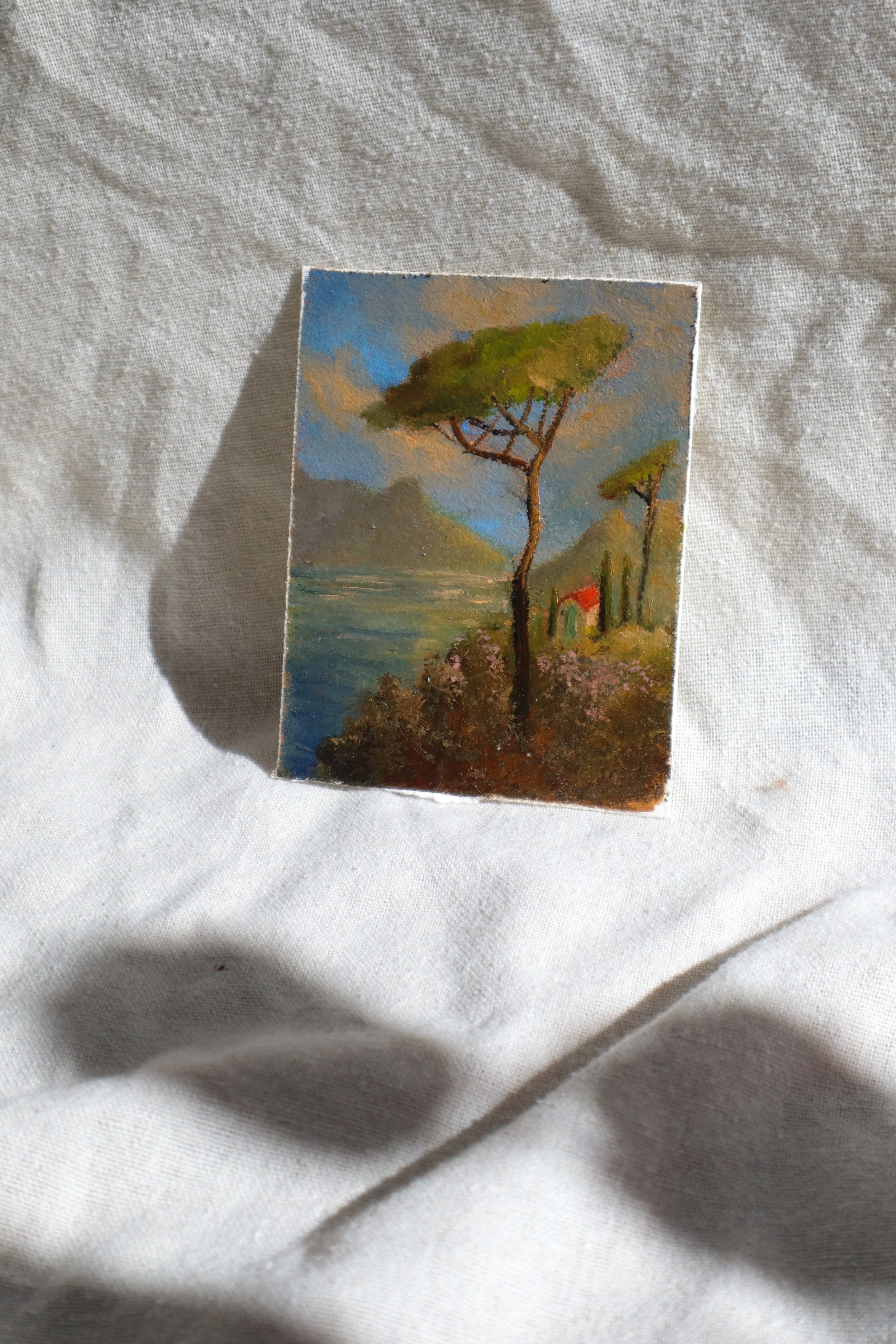 provence-no1--7.jpg