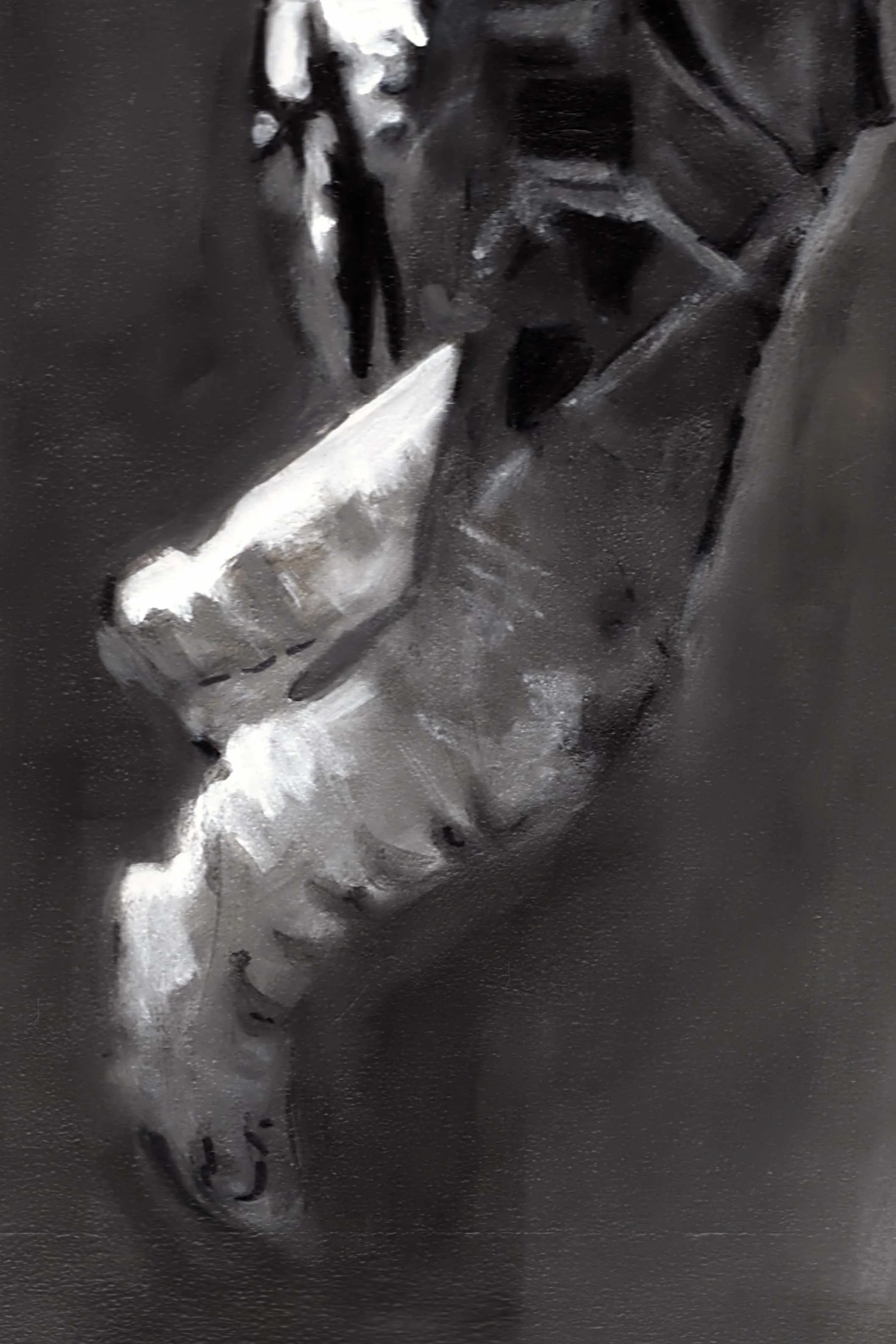BAUMGARTNER.JPEG3.jpg