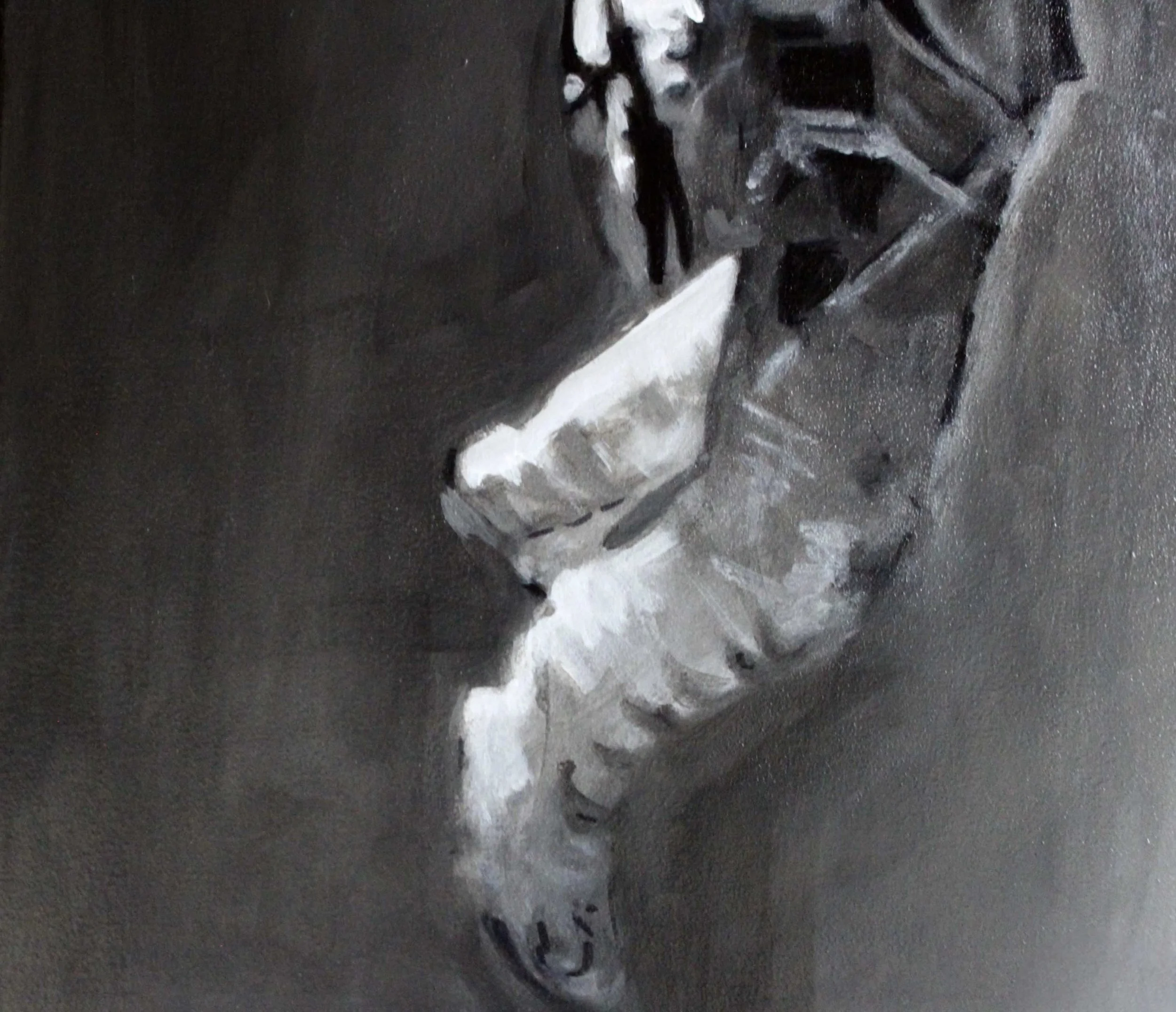 Baumgartner 5.jpg