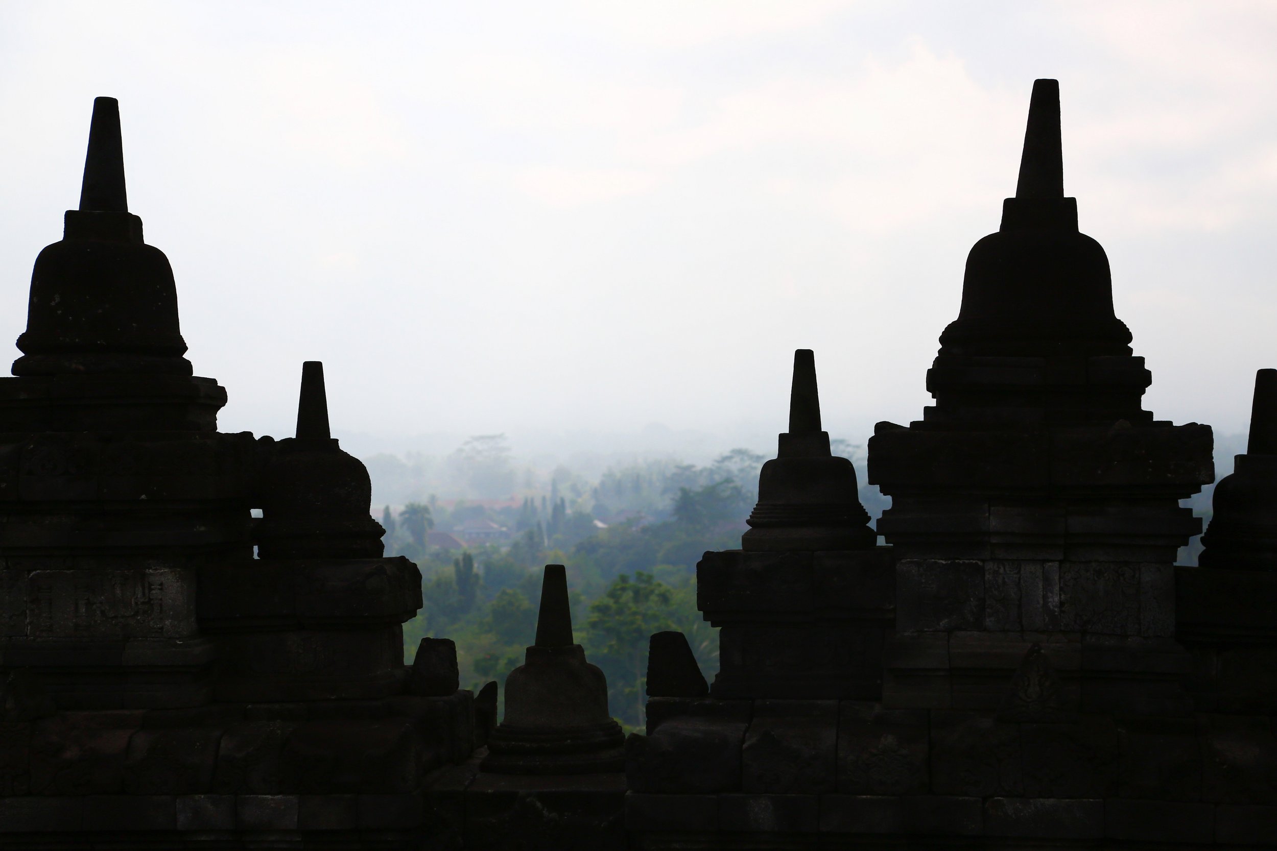 The forest beyond Borobudur on a foggy day, Java.